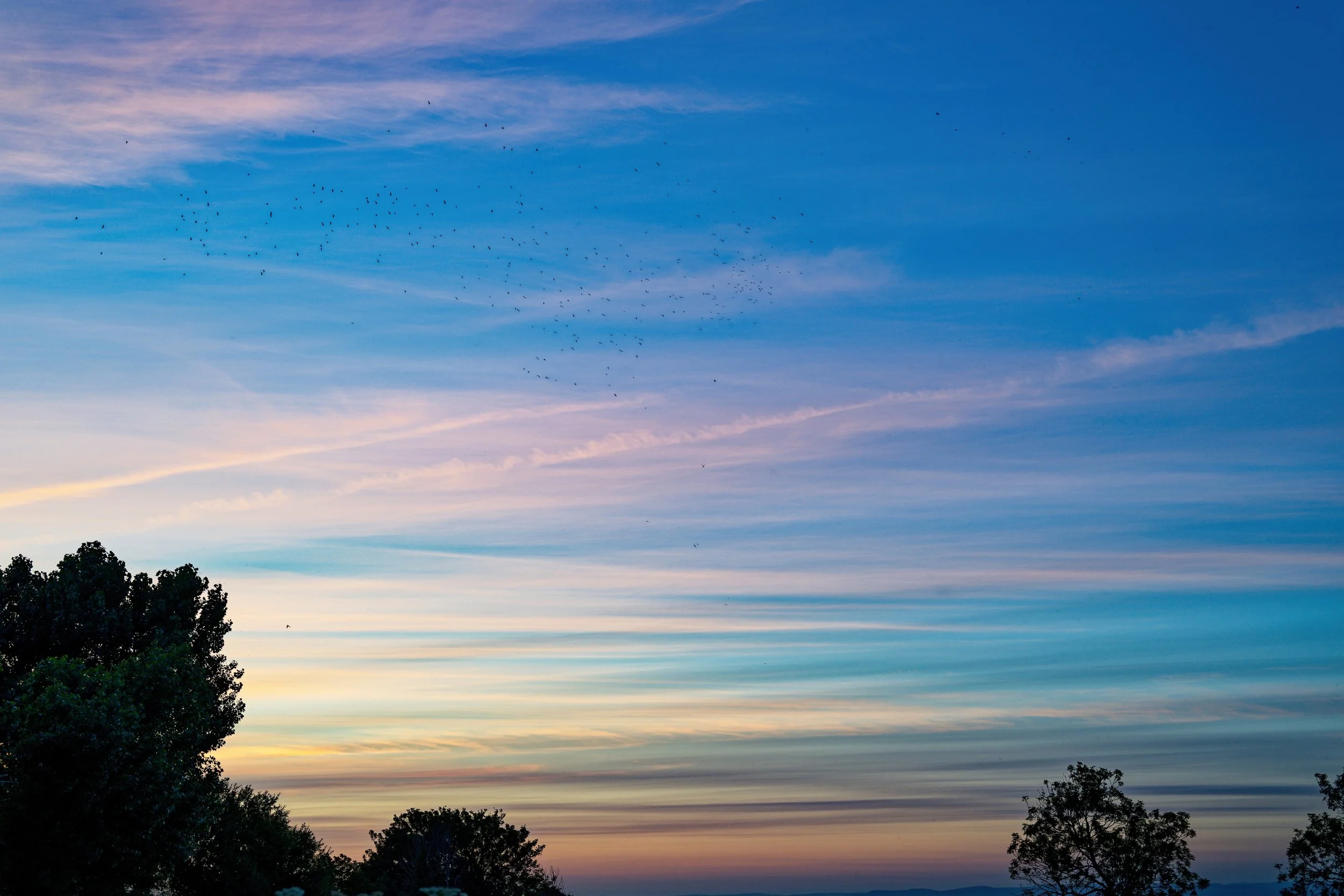 Clattering Sky