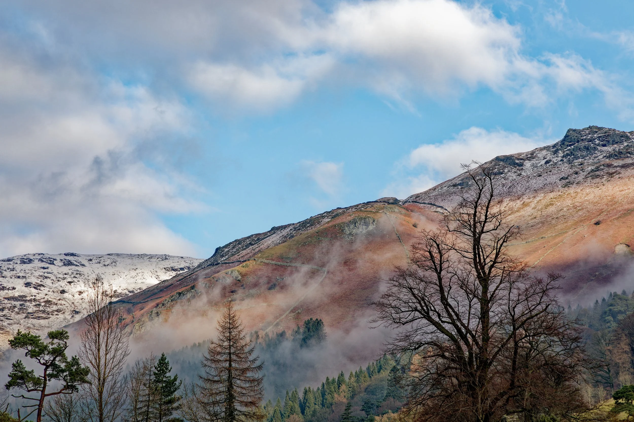 Mountain Mists