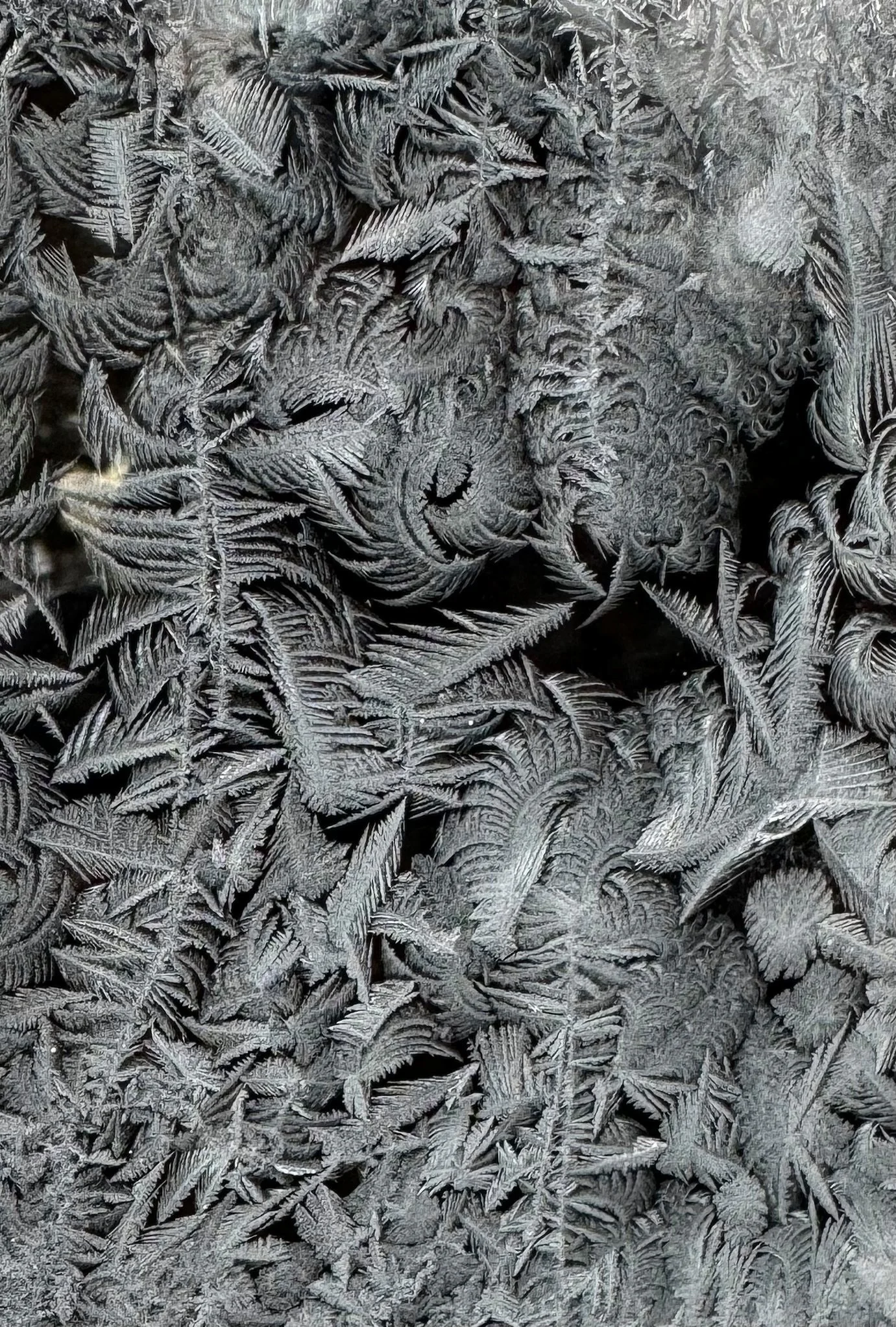 Cold Winter