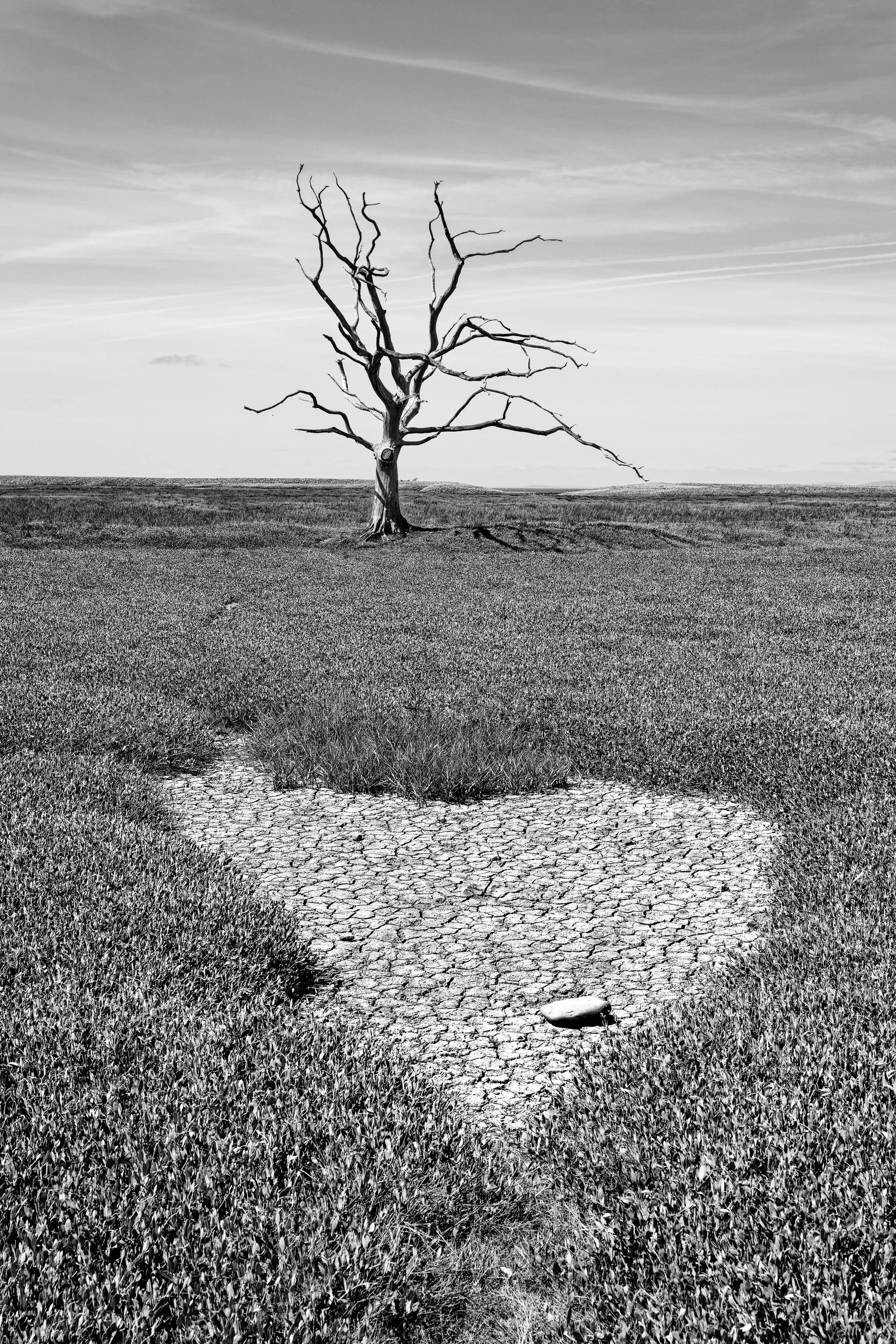 Alone