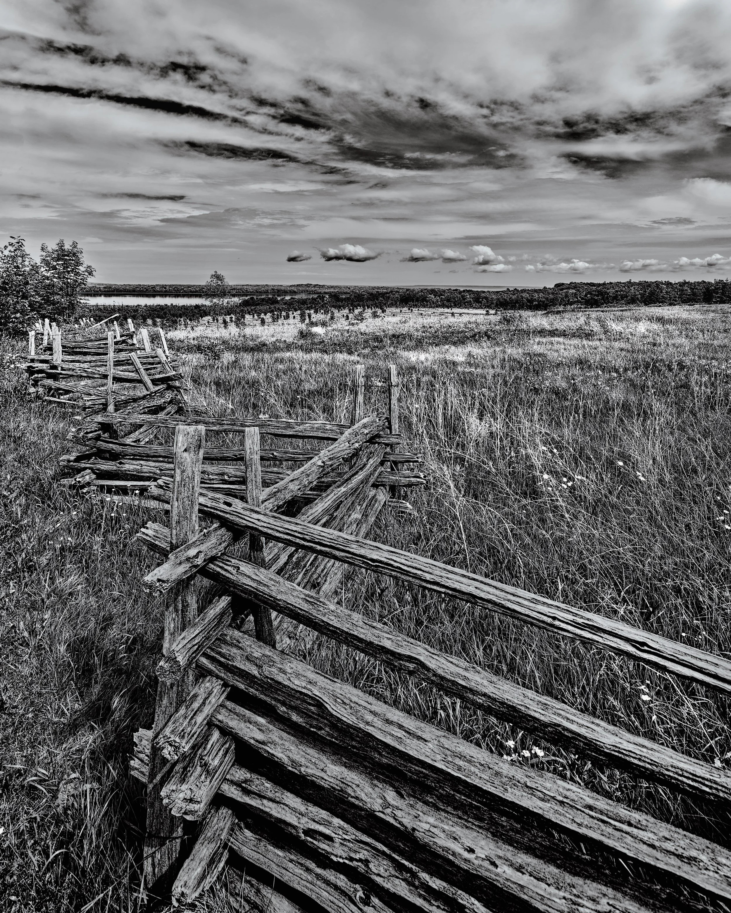 Line of Sight
