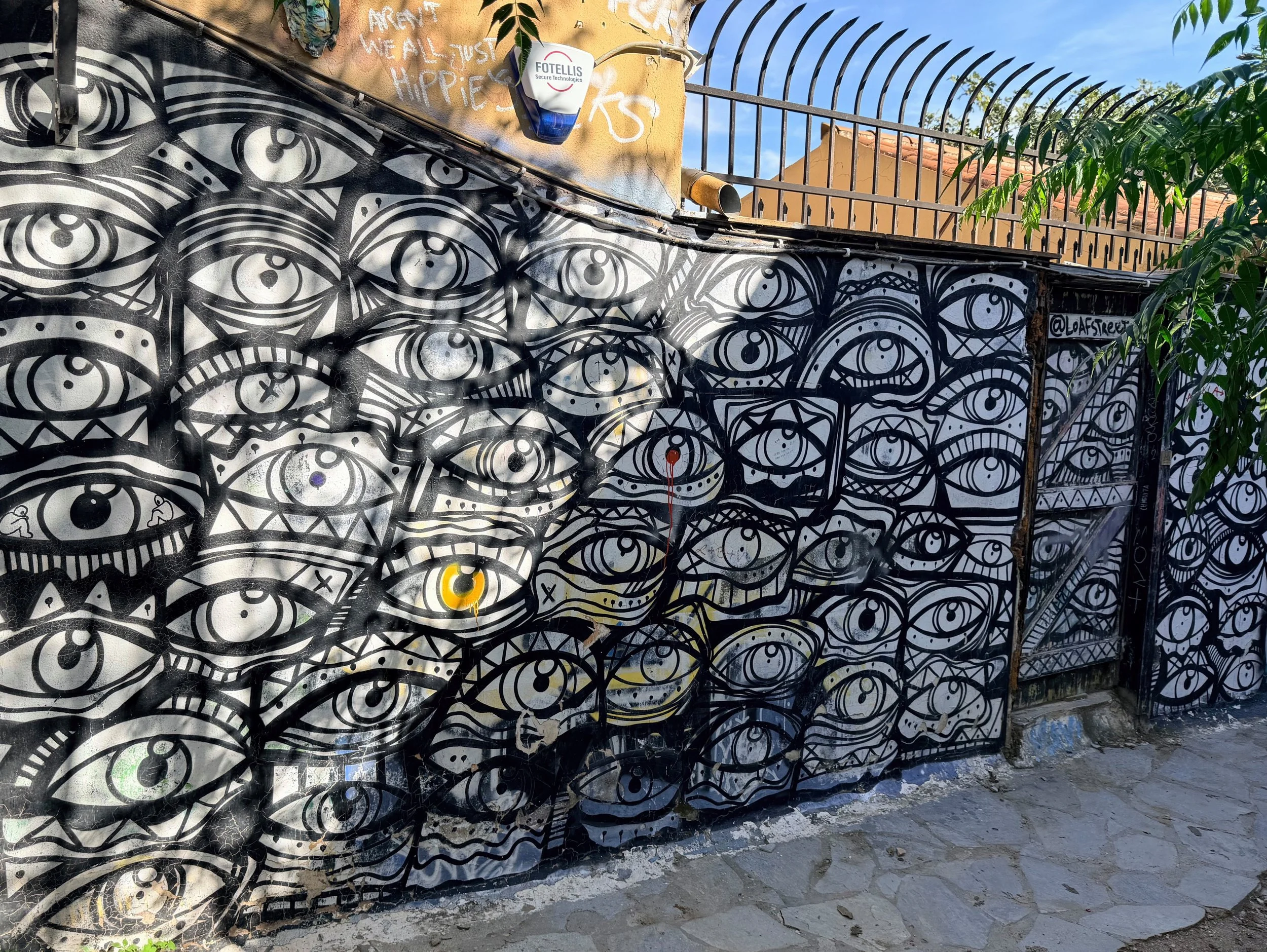 Seeing Wall