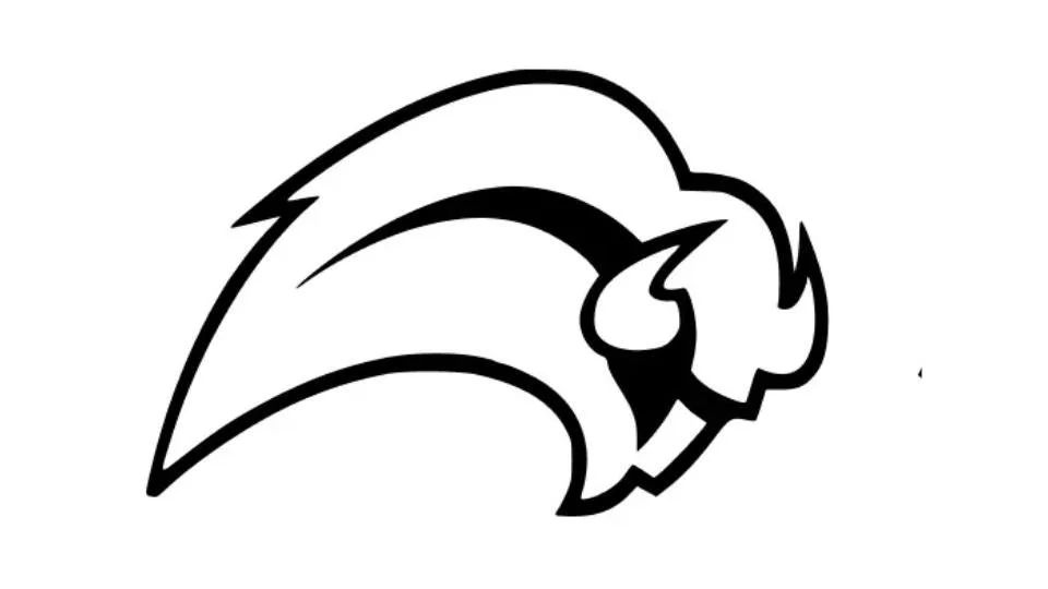 bills stuff (7).jpg