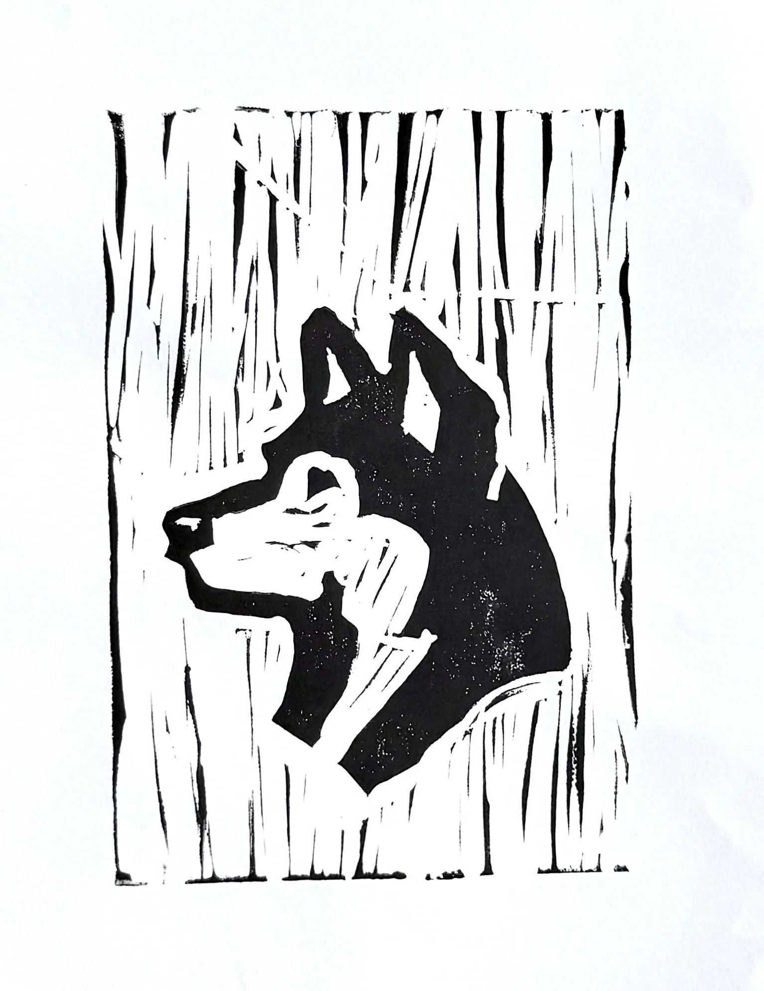 dog 1.jpeg