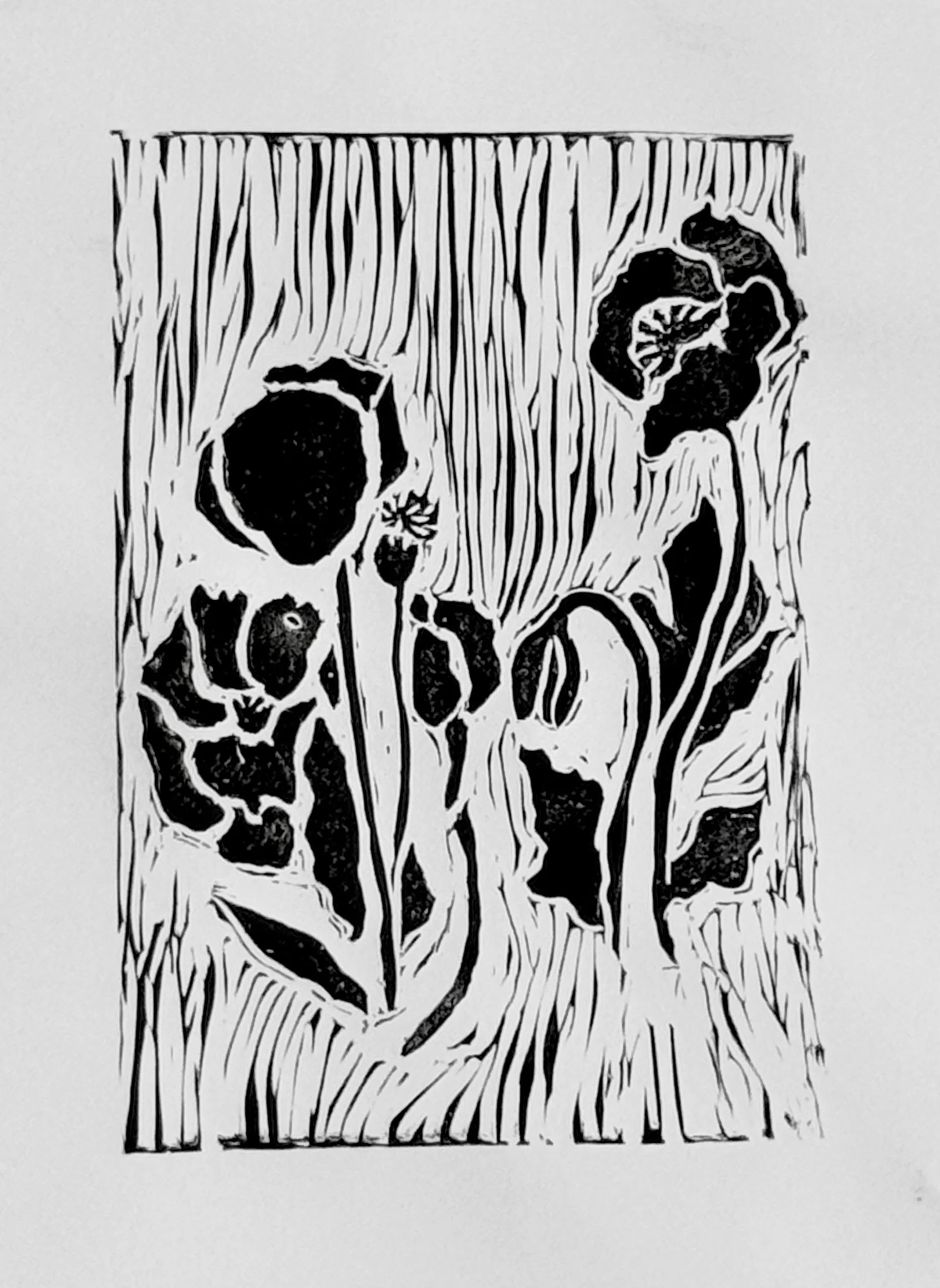 Taras flower print.jpeg