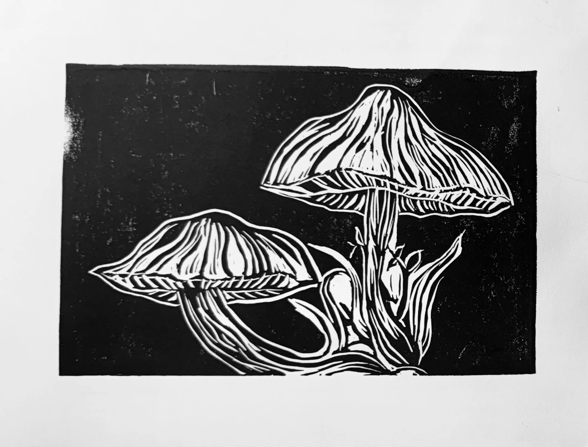taras mushroom prints.jpg