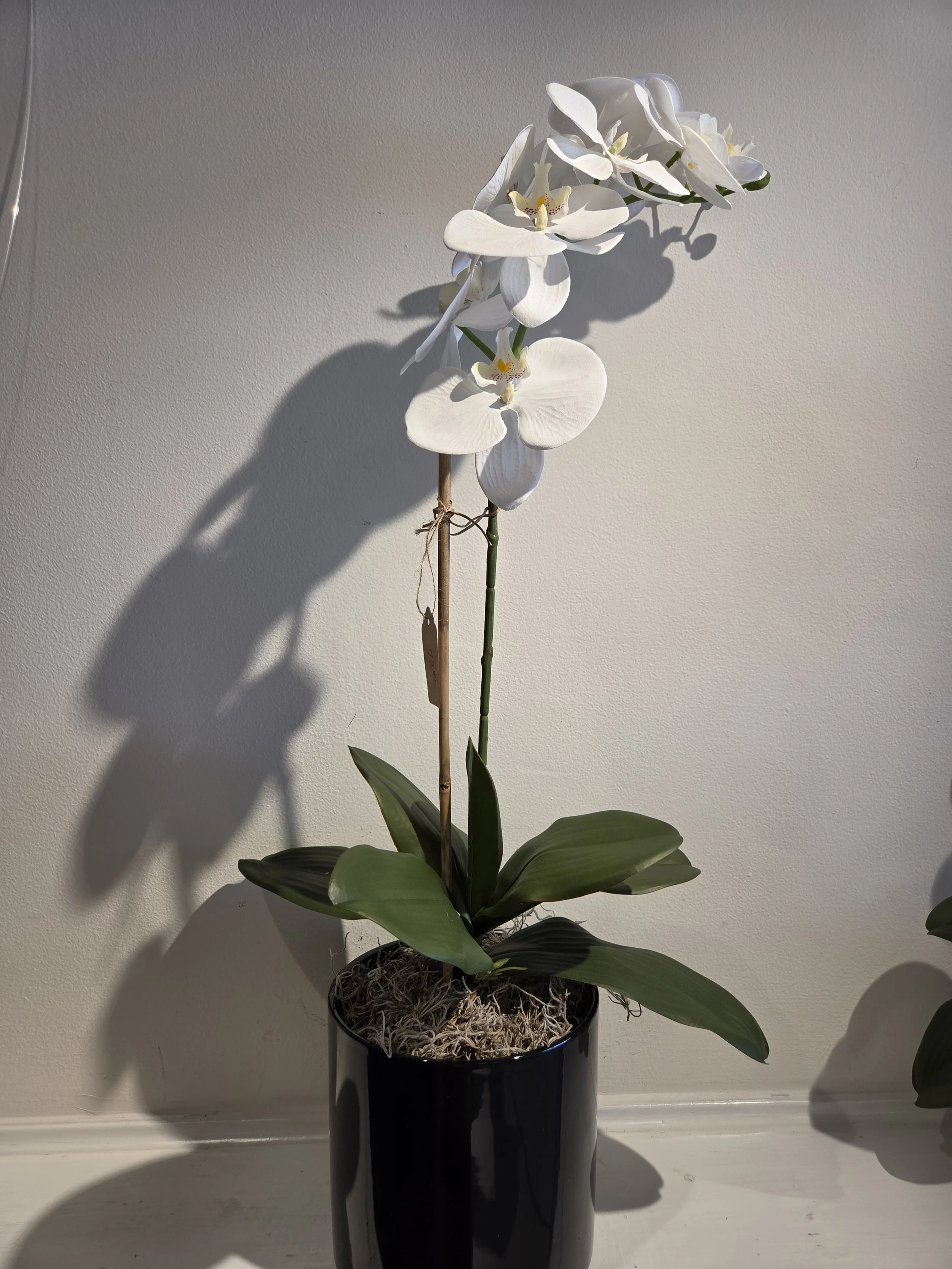 The White faux phalaenopsis orchid plant