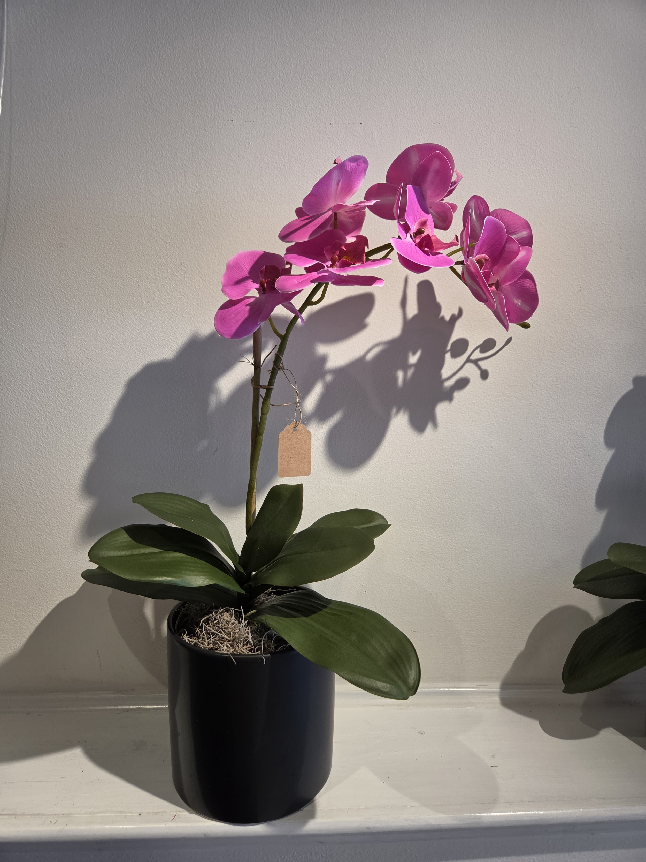 Magenta faux phalaenopsis orchid