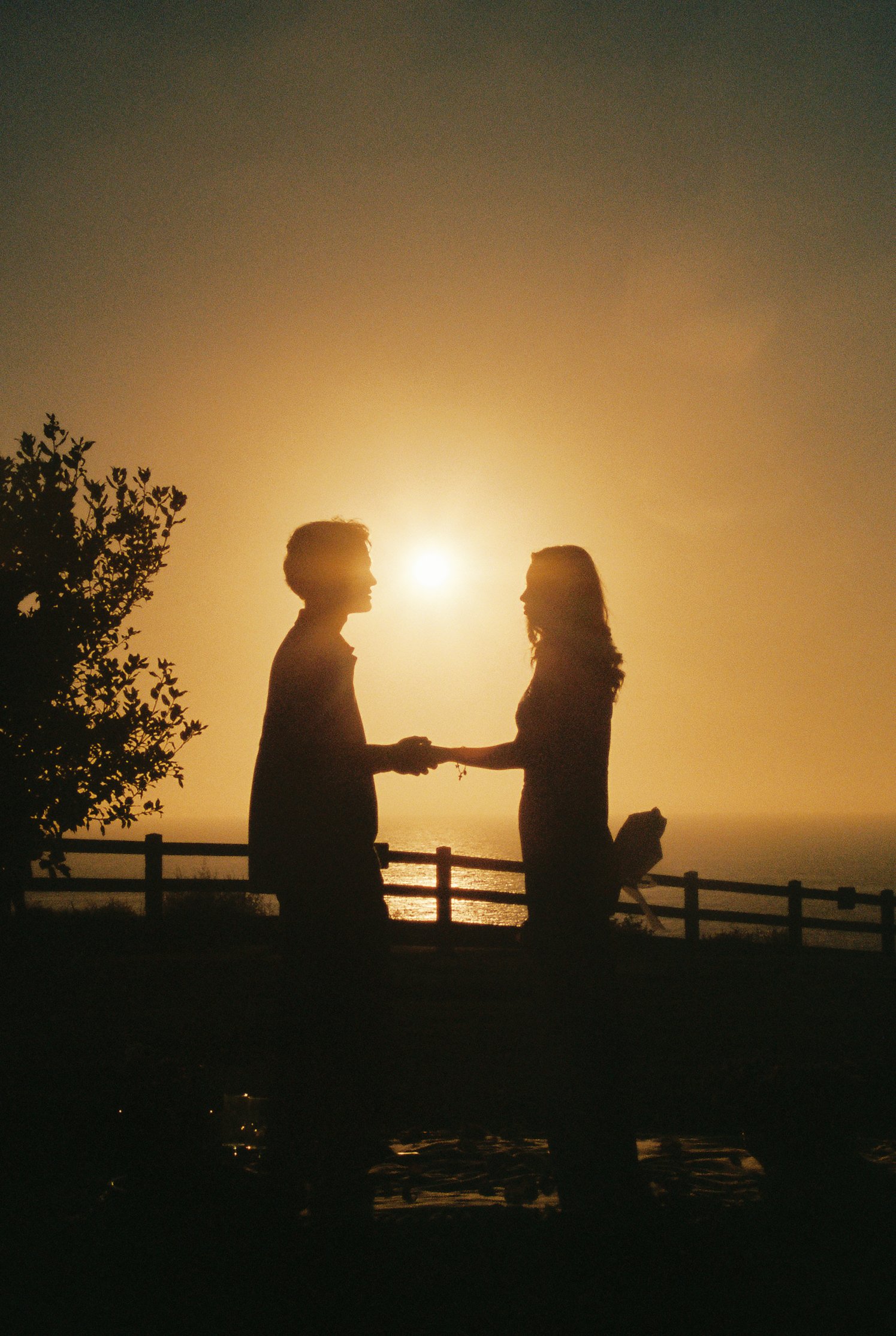 Silhouette of a man and woman holding hands on a sunset by the water, with a tree on the left and a fence in the background.
