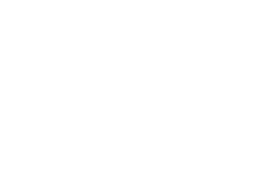 DELIVERED VISUALS