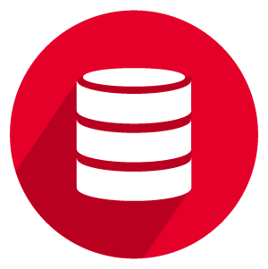 View Data Management and Consulting Solutions
