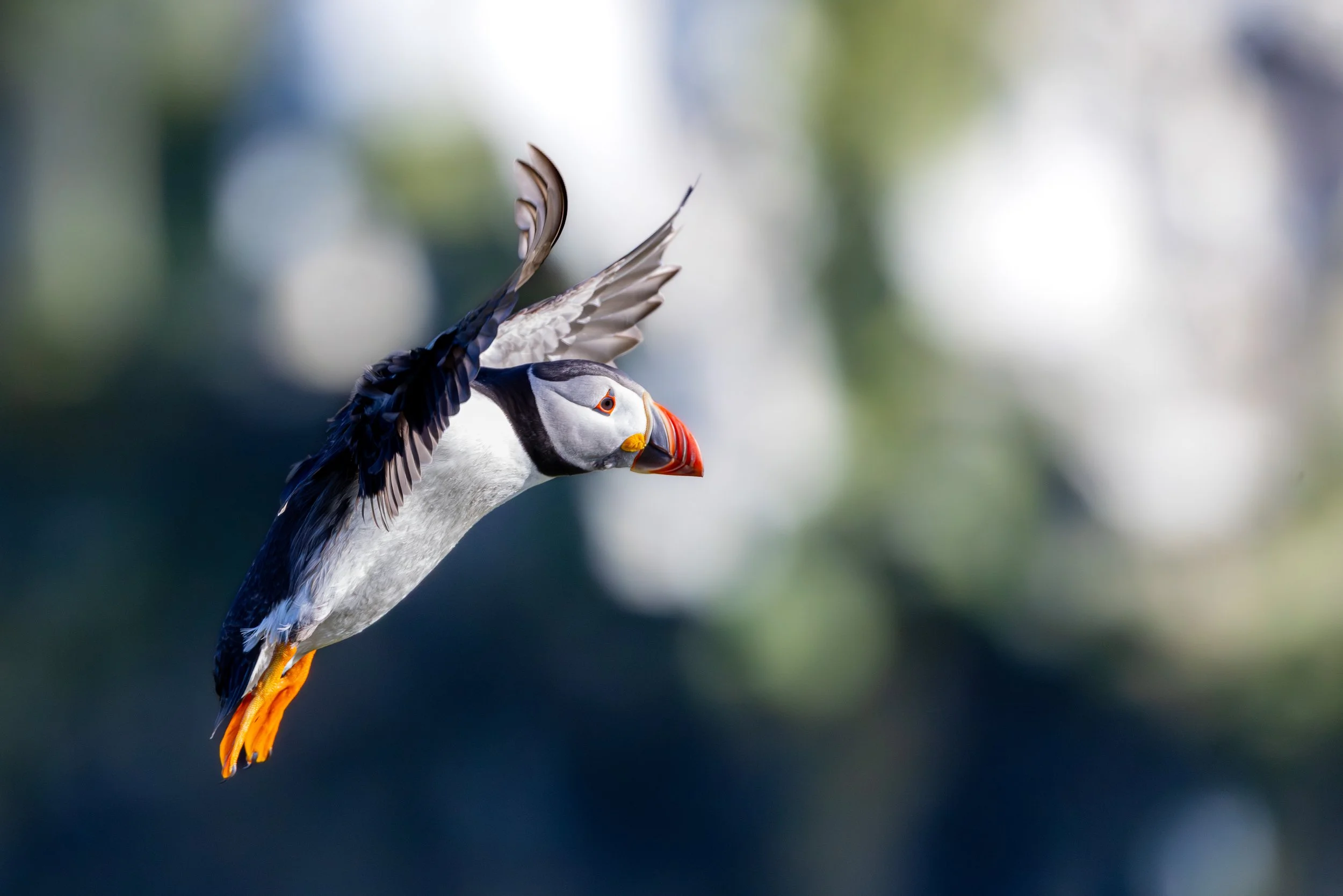 MomentsInMotion_018.jpg