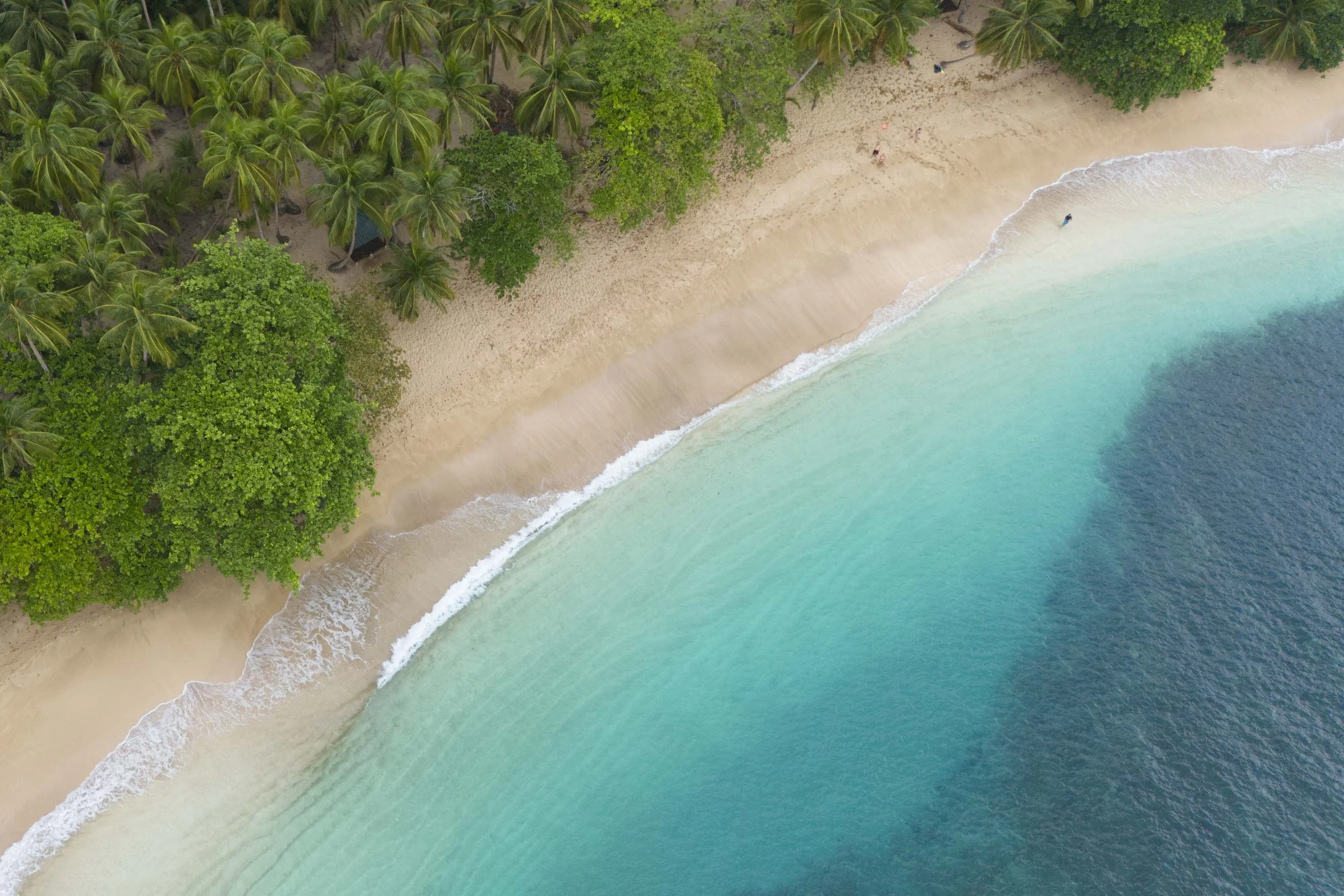 An aerial view of a tropical beach with palm trees, sandy shore, and clear turquoise water, with a few people walking along the shoreline.