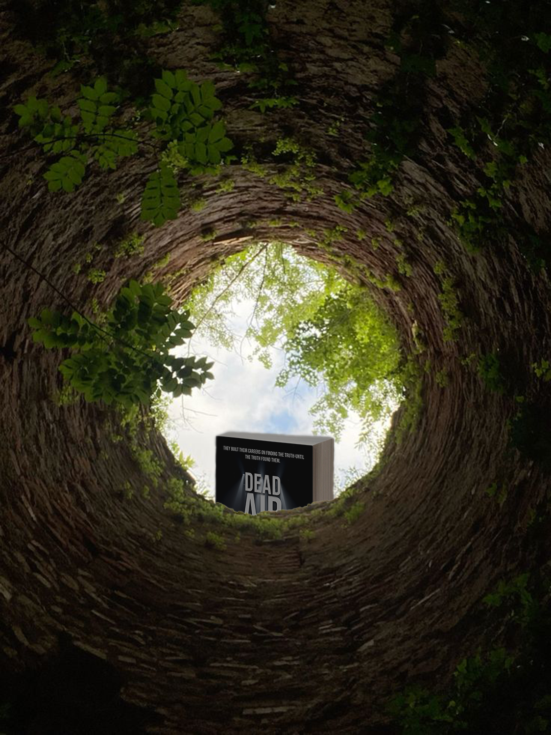 Looking up inside a tall tree trunk with green leaves and sky visible at the top, a book titled 'Dead Air' resting at the bottom of the trunk.