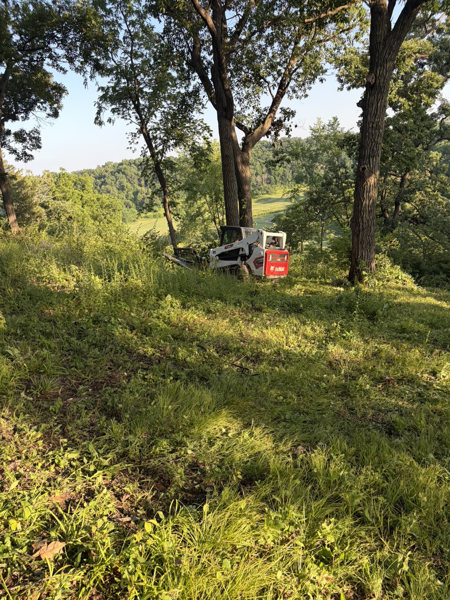 Our business owner, Kyle, hard at work getting this property cut down and back to its prime.