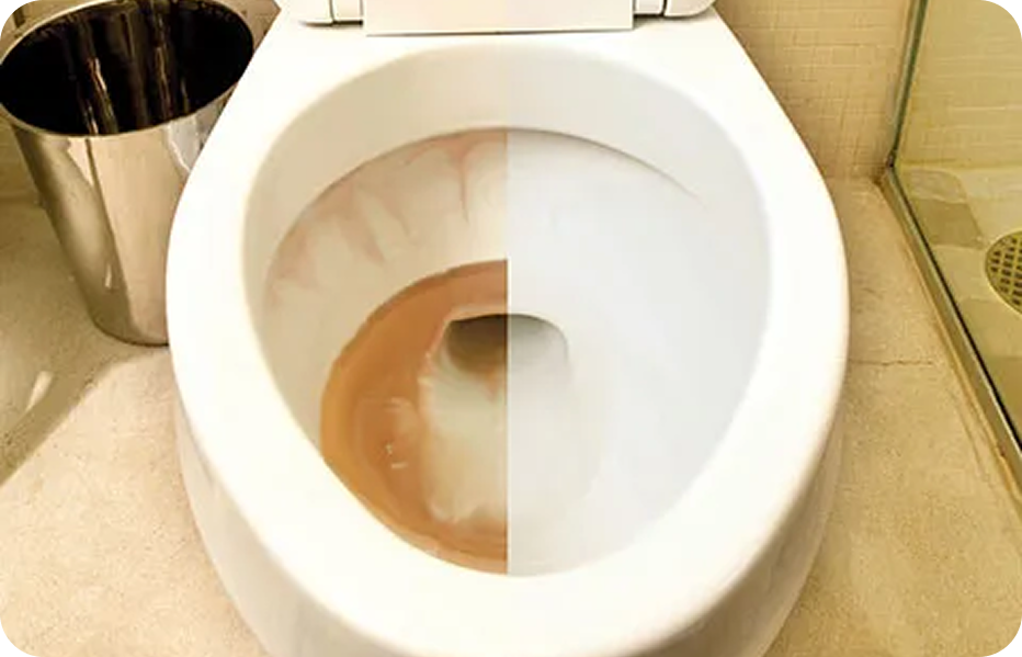 Toilet with brown water on the left side and clear water on the right side.