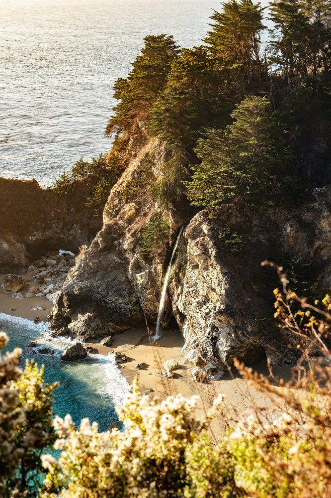 A coastal cliff with evergreen trees, a small waterfall, sandy beach, and ocean view in the background, framed by flowering bushes in the foreground.