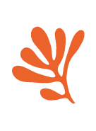 Orange abstract leaf design