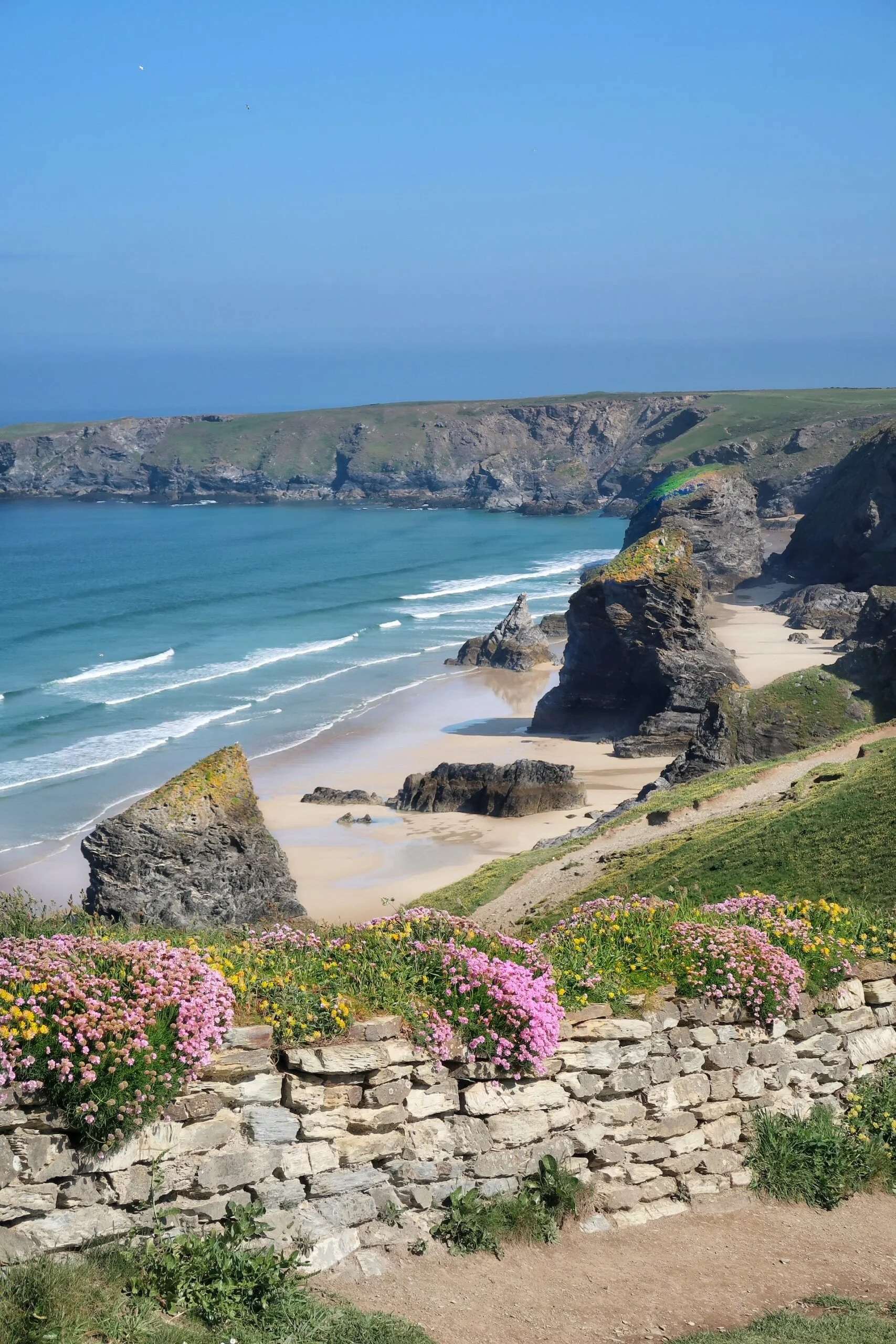 Coastal landscape with sandy beach, large rock formations, green grassy cliffs, and pink flowers in the foreground.