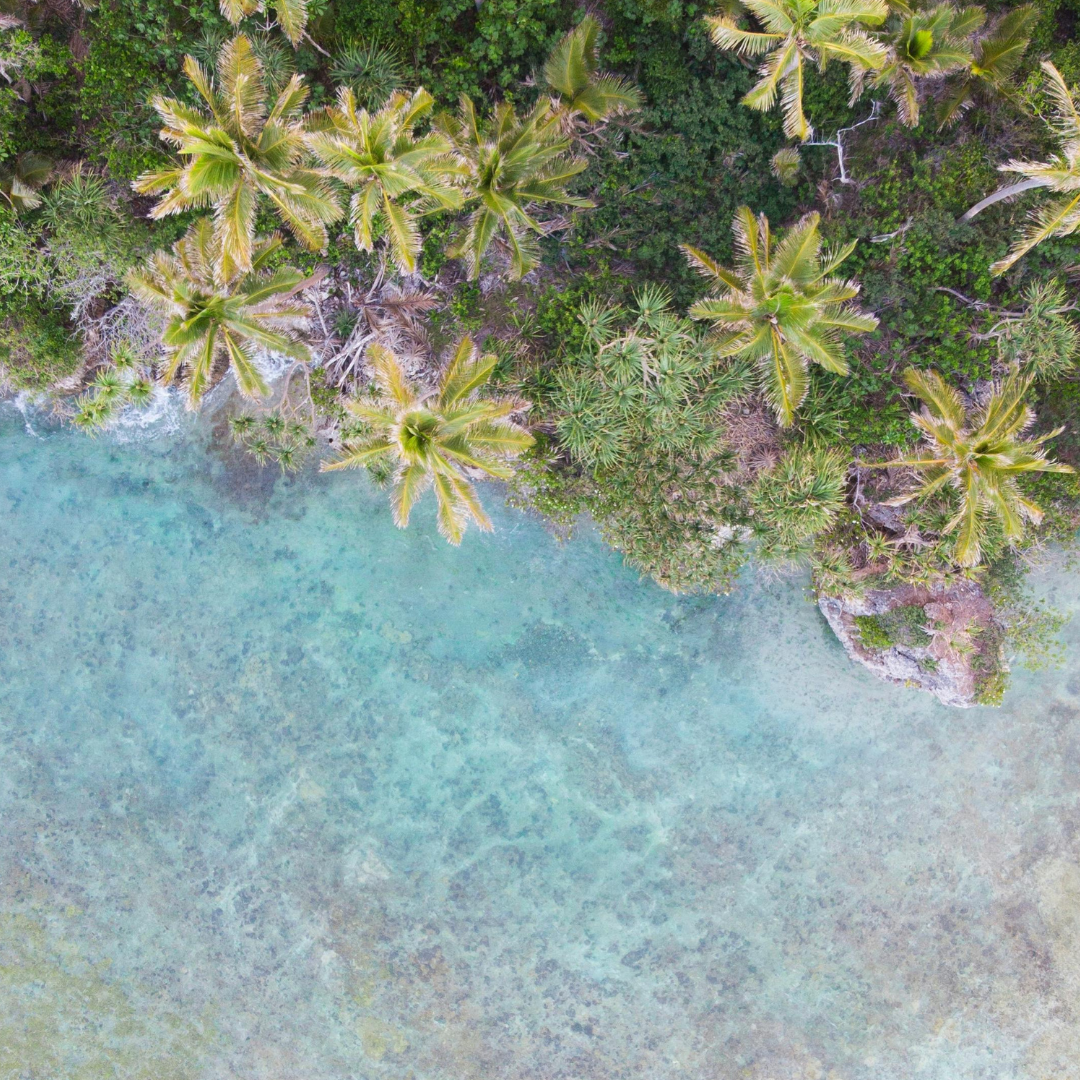 Aerial view of a tropical beach with clear turquoise water and a dense green forest of palm trees along the shoreline.