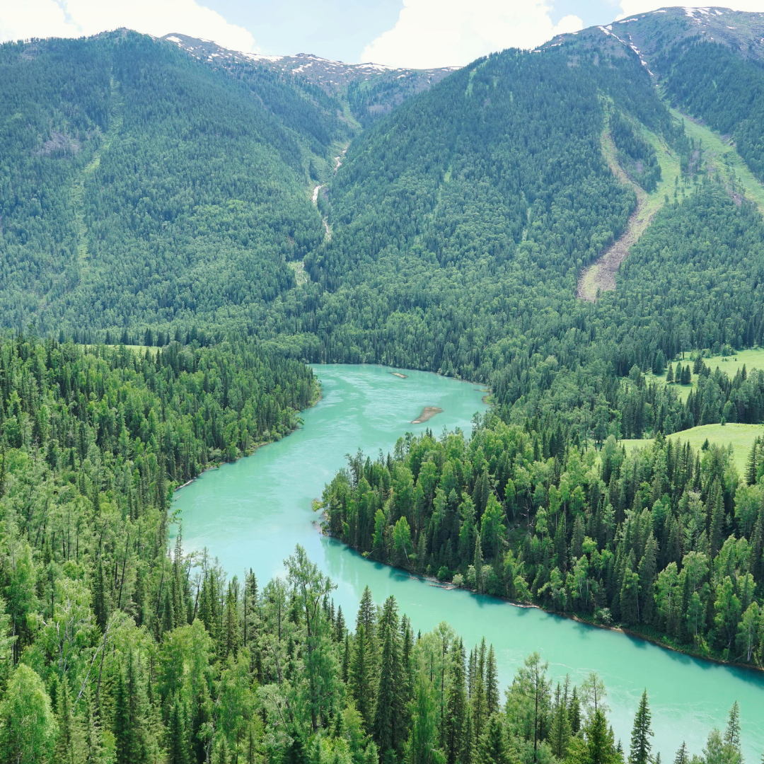A winding river flowing through a lush green forest in a mountainous landscape with snow patches on mountain peaks.