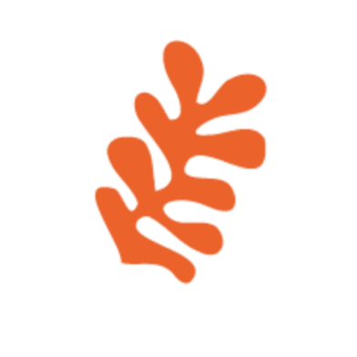 An abstract orange shape resembling a stylized leaf or flame on a black background.