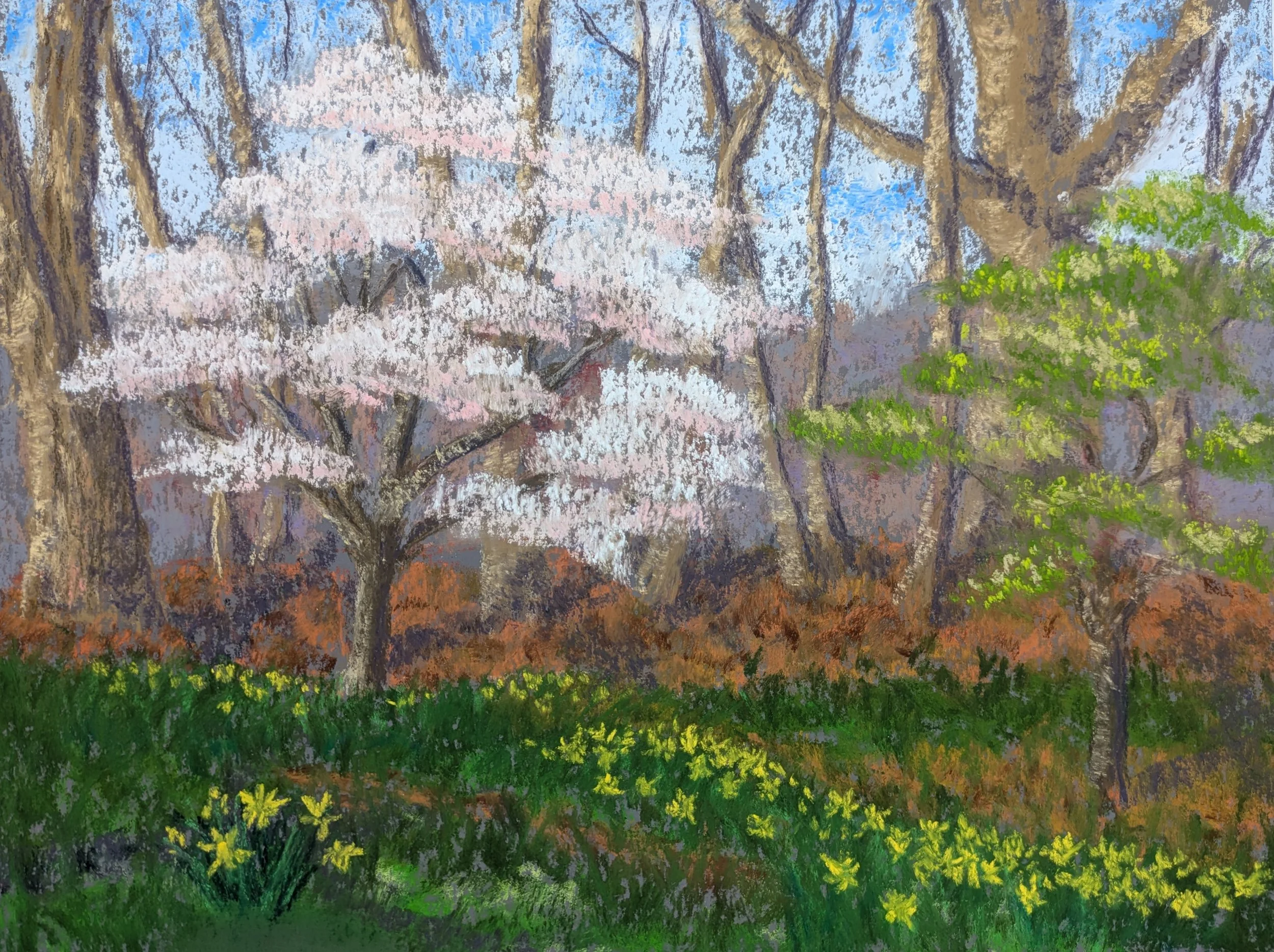 N Koski Spring Scene Pastel.jpg