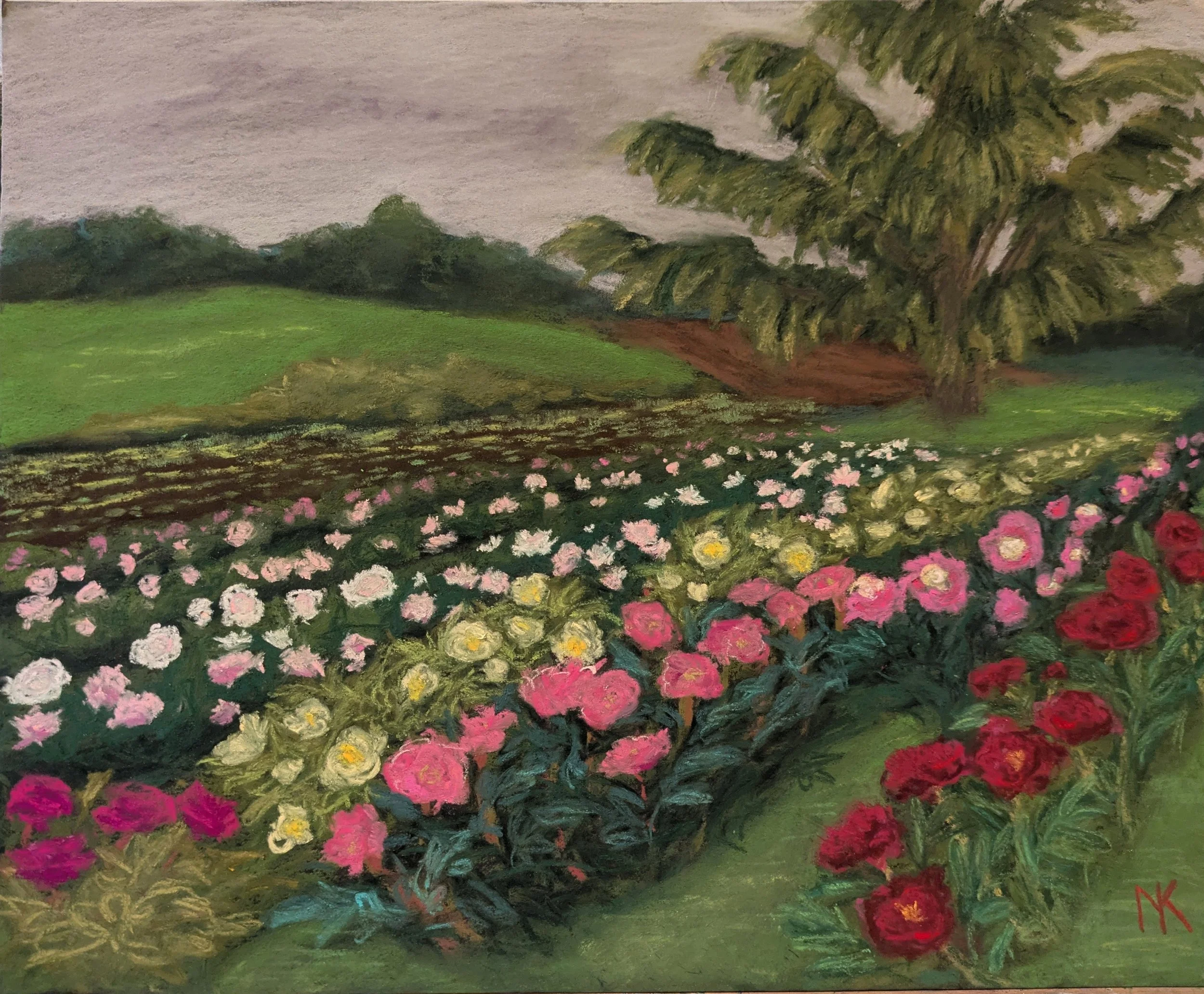 N Koski Field of Peonies Pastel.jpg