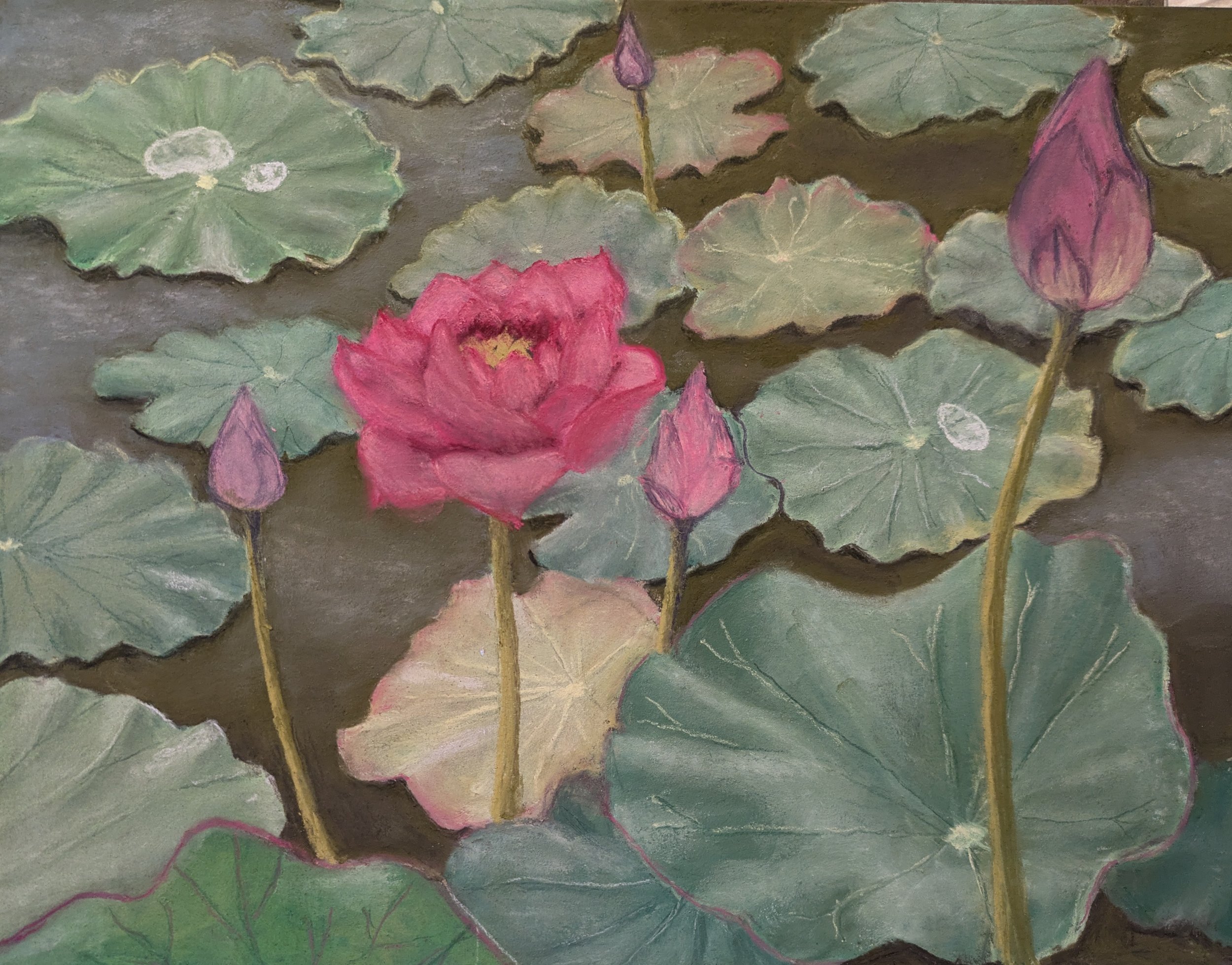 N Koski Flowering Lotus Pastel.jpg