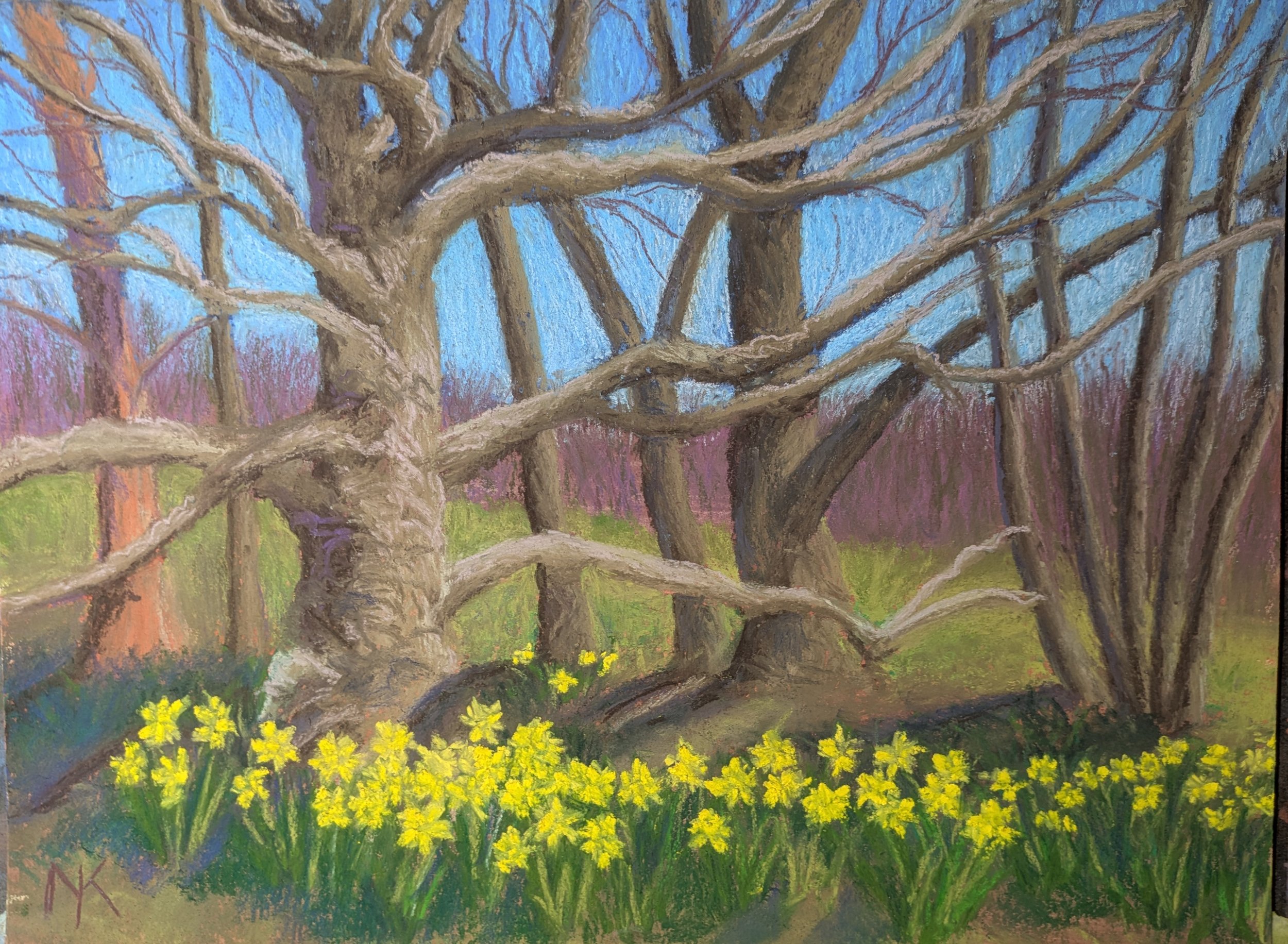 N Koski Under the Old Filbert Tree Pastel.jpg