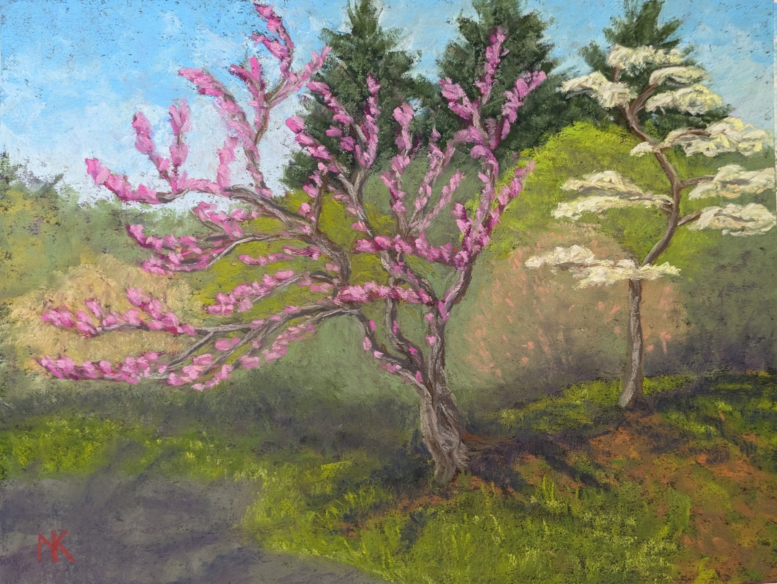 N Koski Redbud, Durand Eastman Park Pastel.jpg