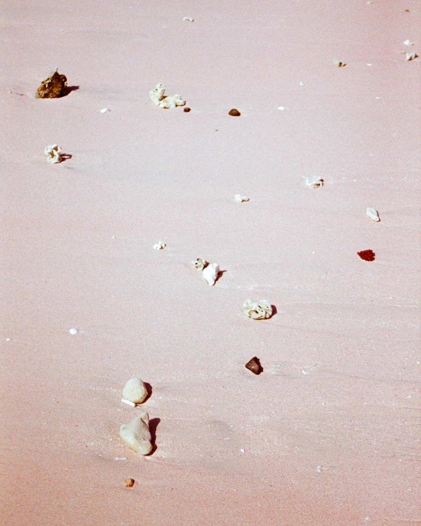 000041850019.jpg