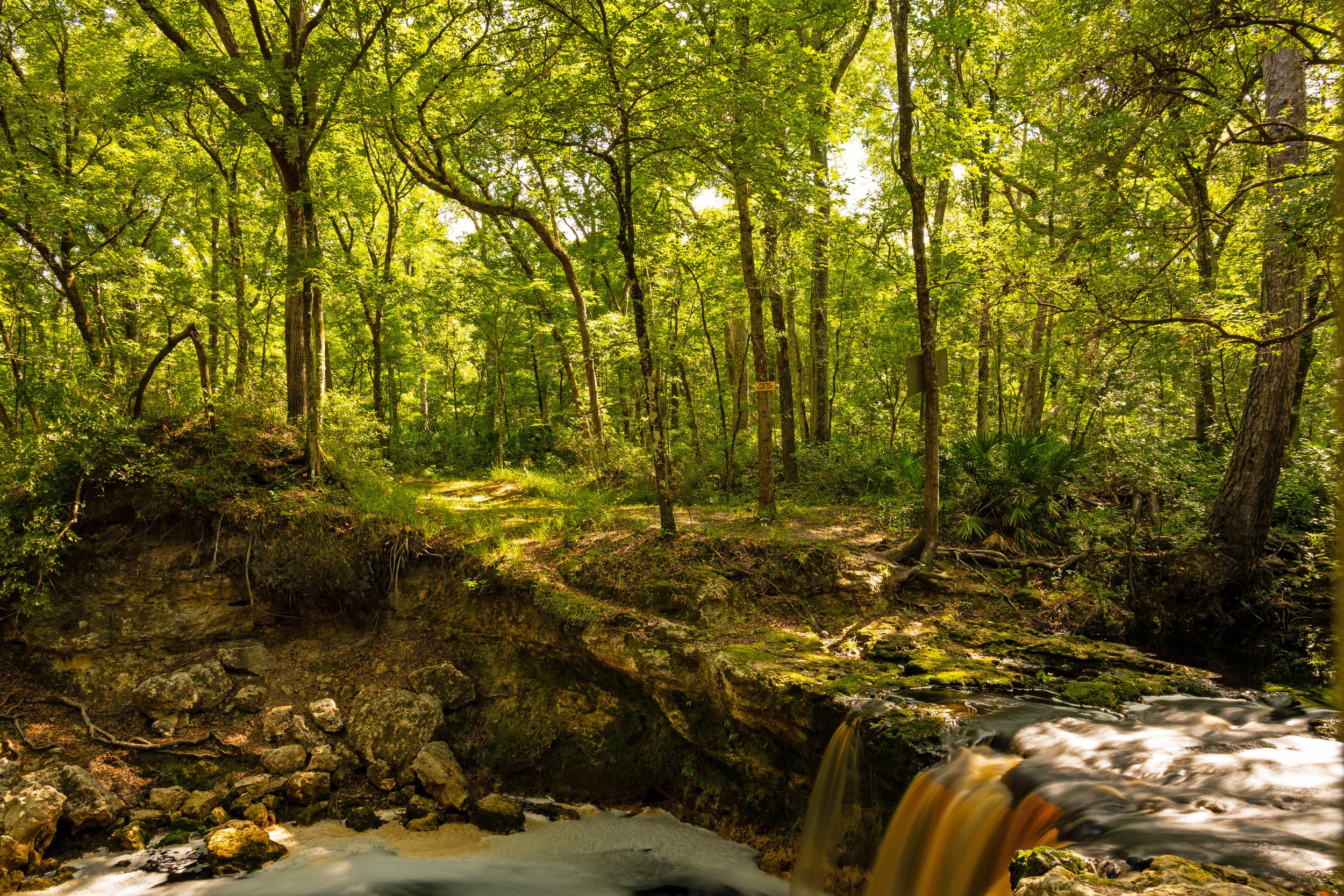 Fallen Creek Falls Lake City Florida