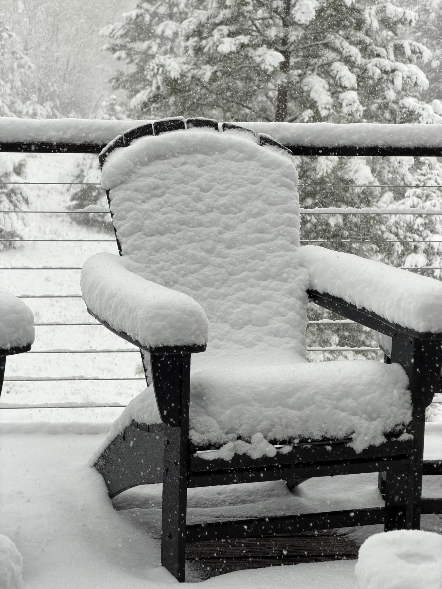 Snow.JPEG