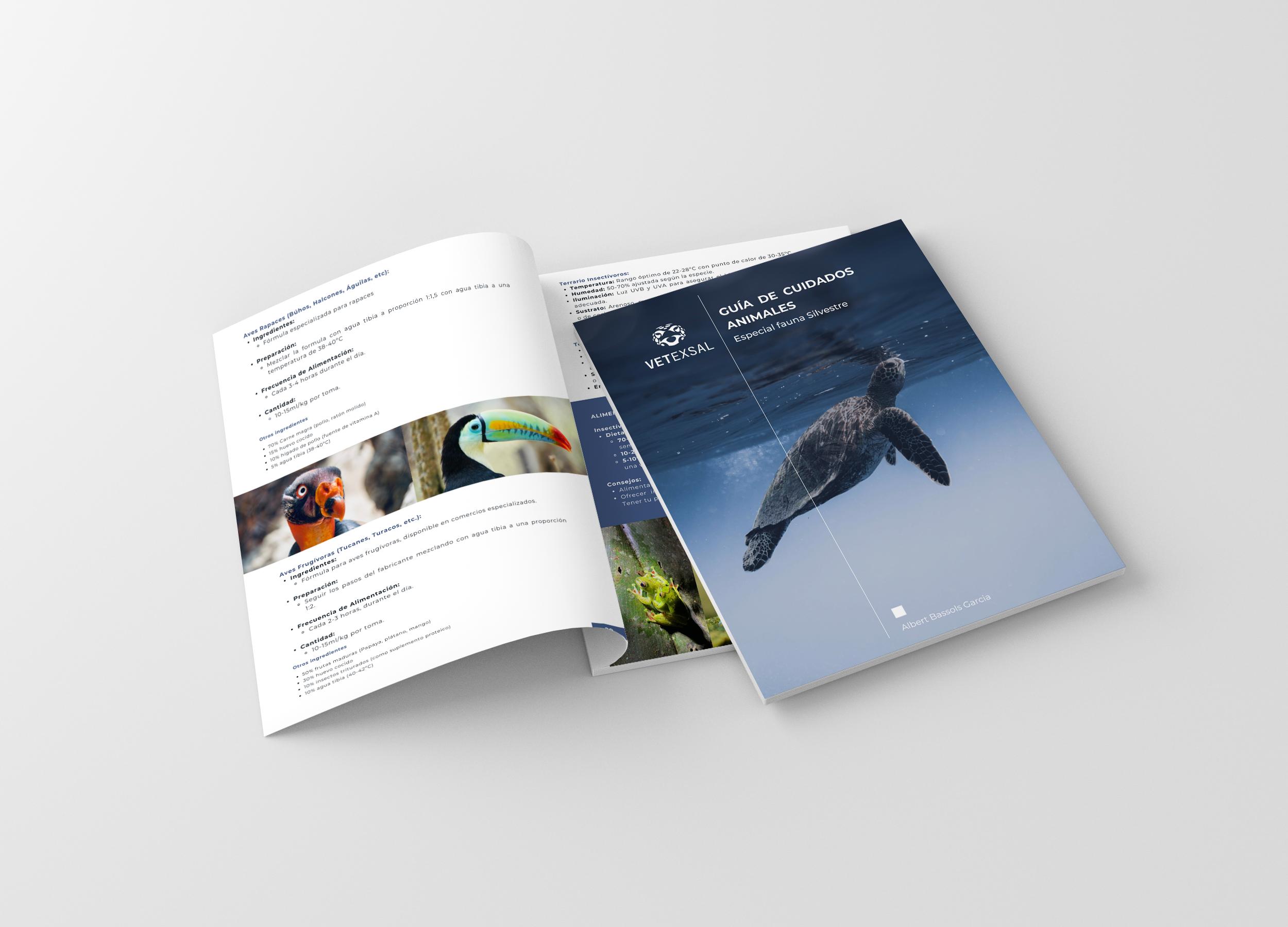04-Free-US Letter-Magazine-Brochure-Mockup.png