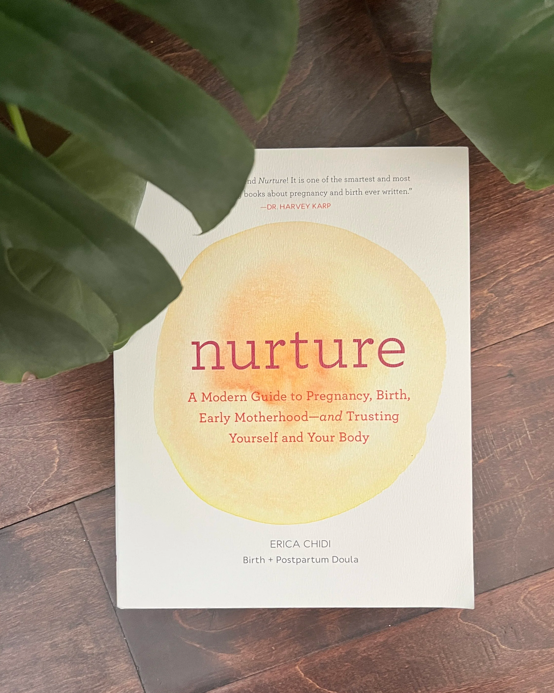 Book Review: “Nurture” by Erica Chidi