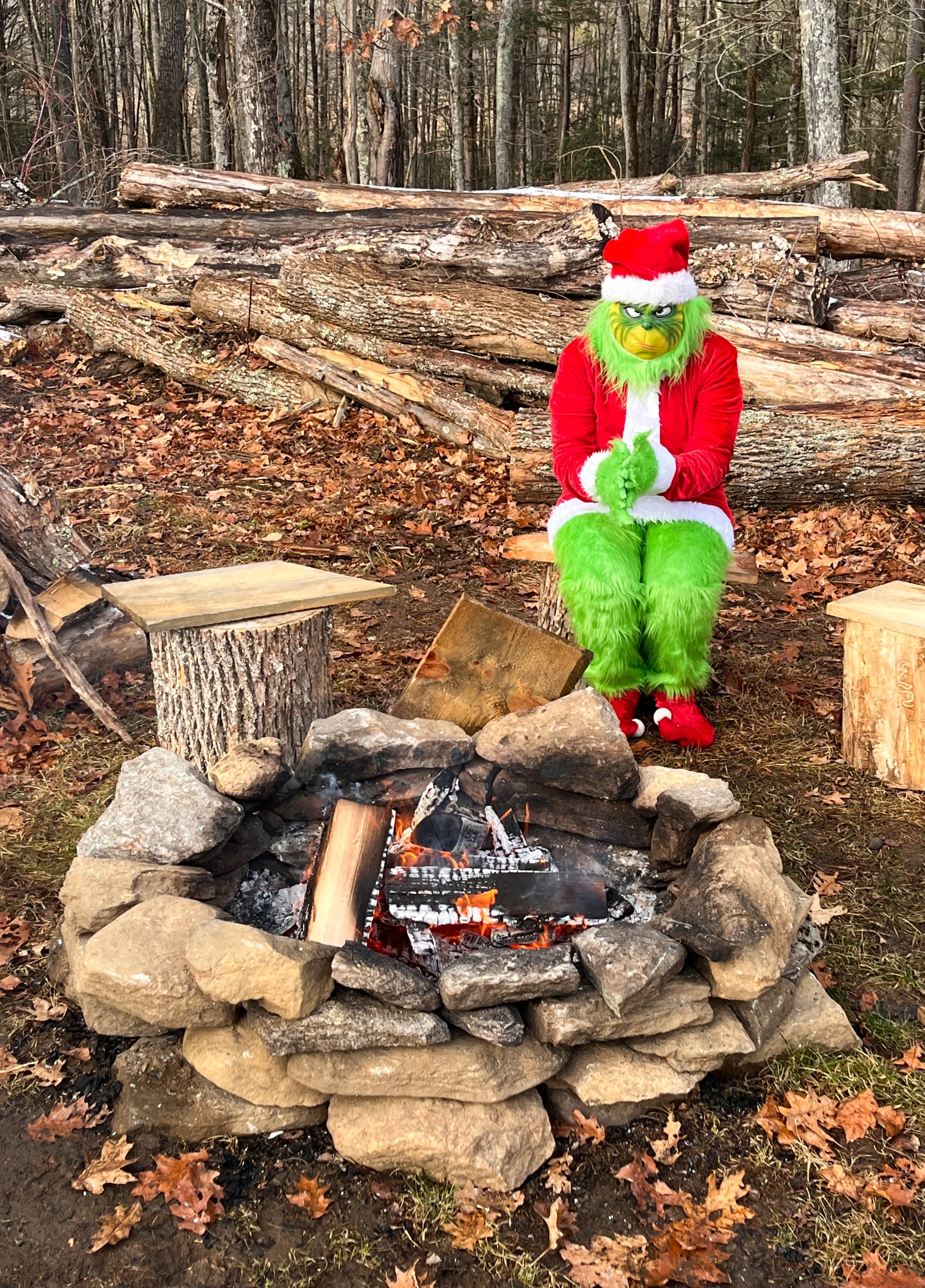 A person dressed as the Grinch in a Santa costume sitting by a campfire in a wooded area, with logs and trees surrounding the scene.