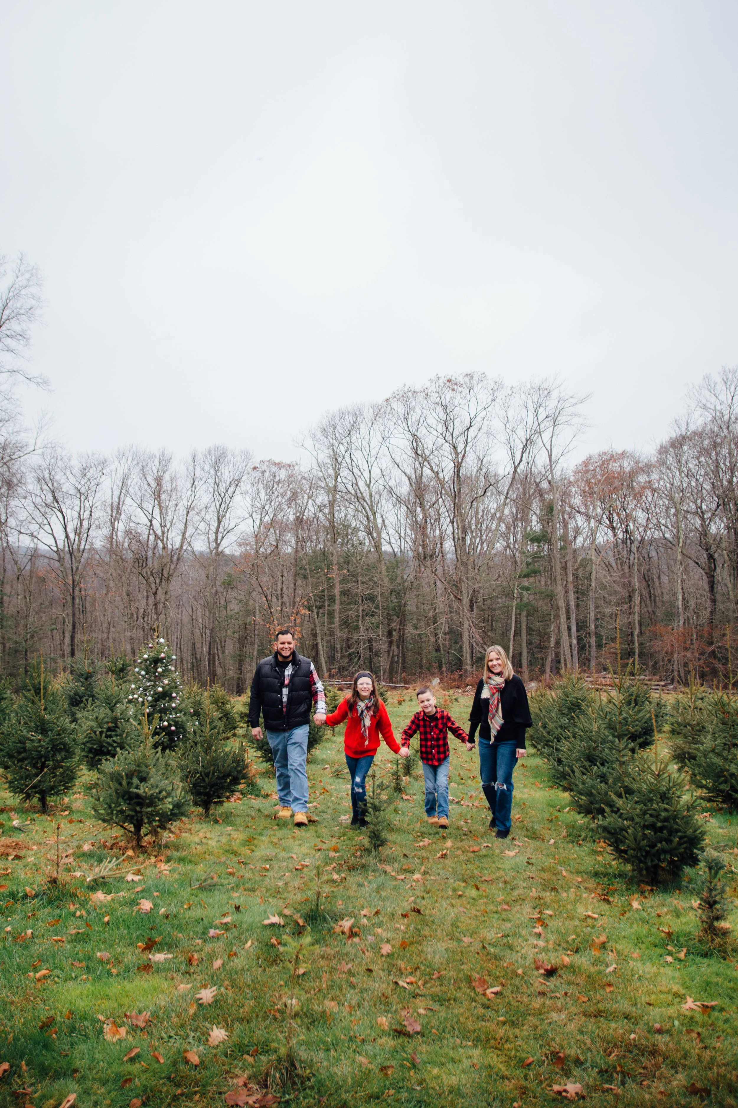 Family of four, including two children, walking hand-in-hand through a Christmas tree farm surrounded by evergreen trees, with fallen leaves on the ground and trees in the background.