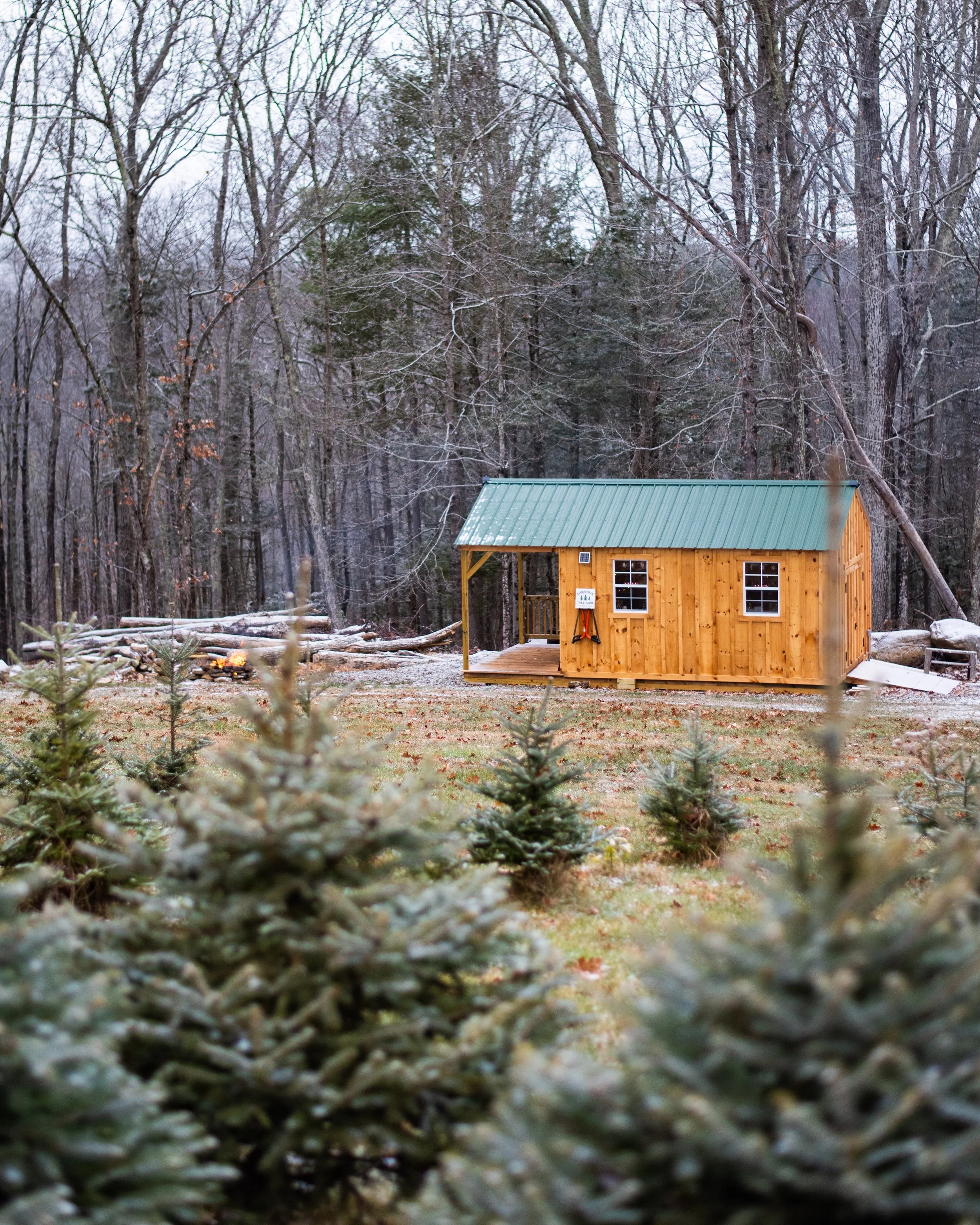 A small wooden cabin with a green metal roof in a forested area during winter. The background is filled with leafless trees and some evergreens, and the ground has patches of snow.