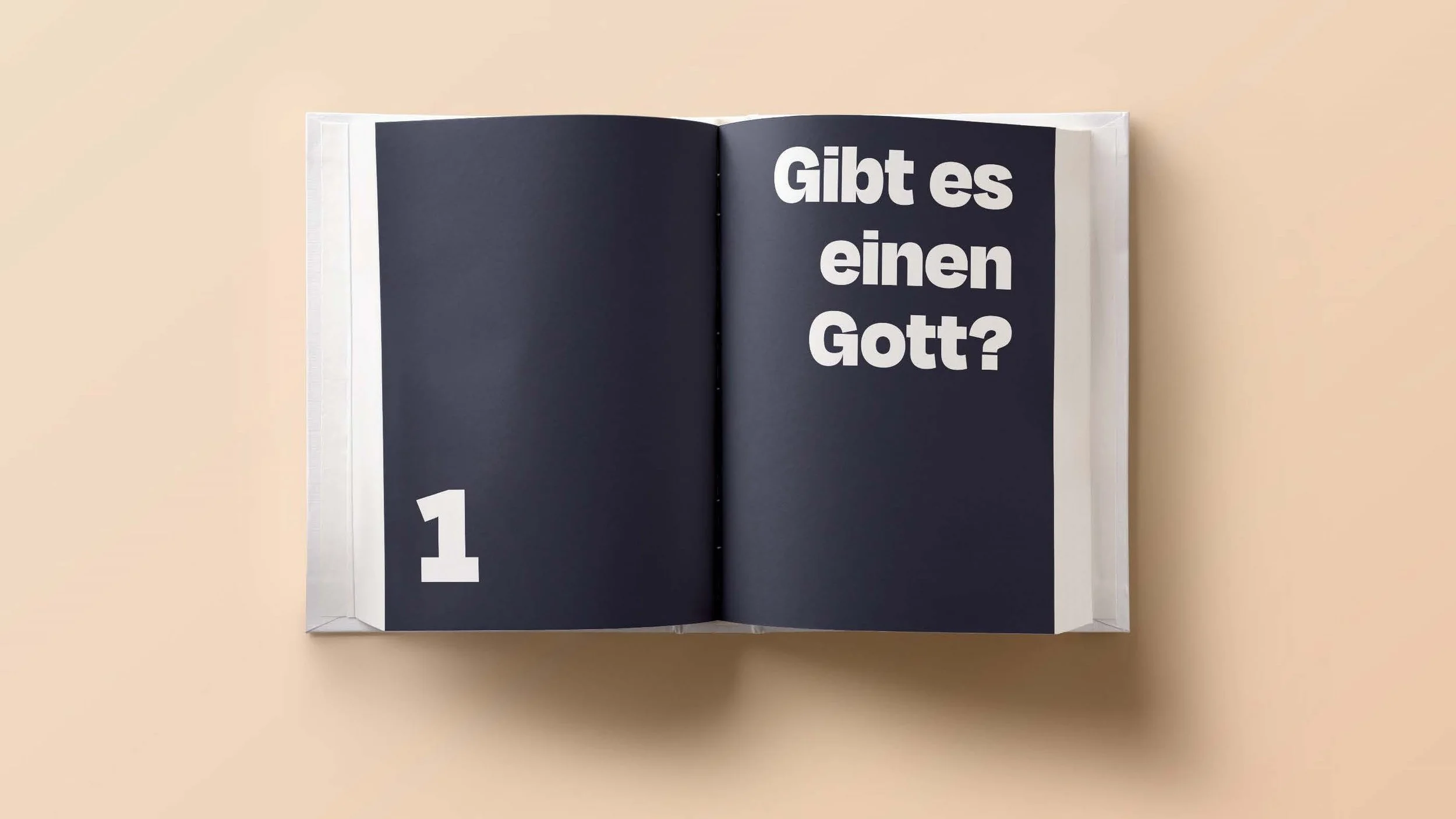 Seiten aus Endpräsentation Phase 1_Seite_4.jpg