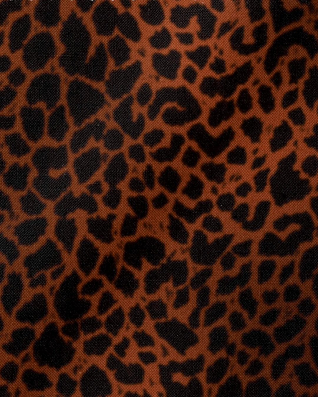CHEETAH // always a classic 

Coast can help create unforgettable prints for your brand. 
 
https://www.coastdesignservices.com/services 

.

#swimprints #classicfashion #animalprint #cheetah #swimwear