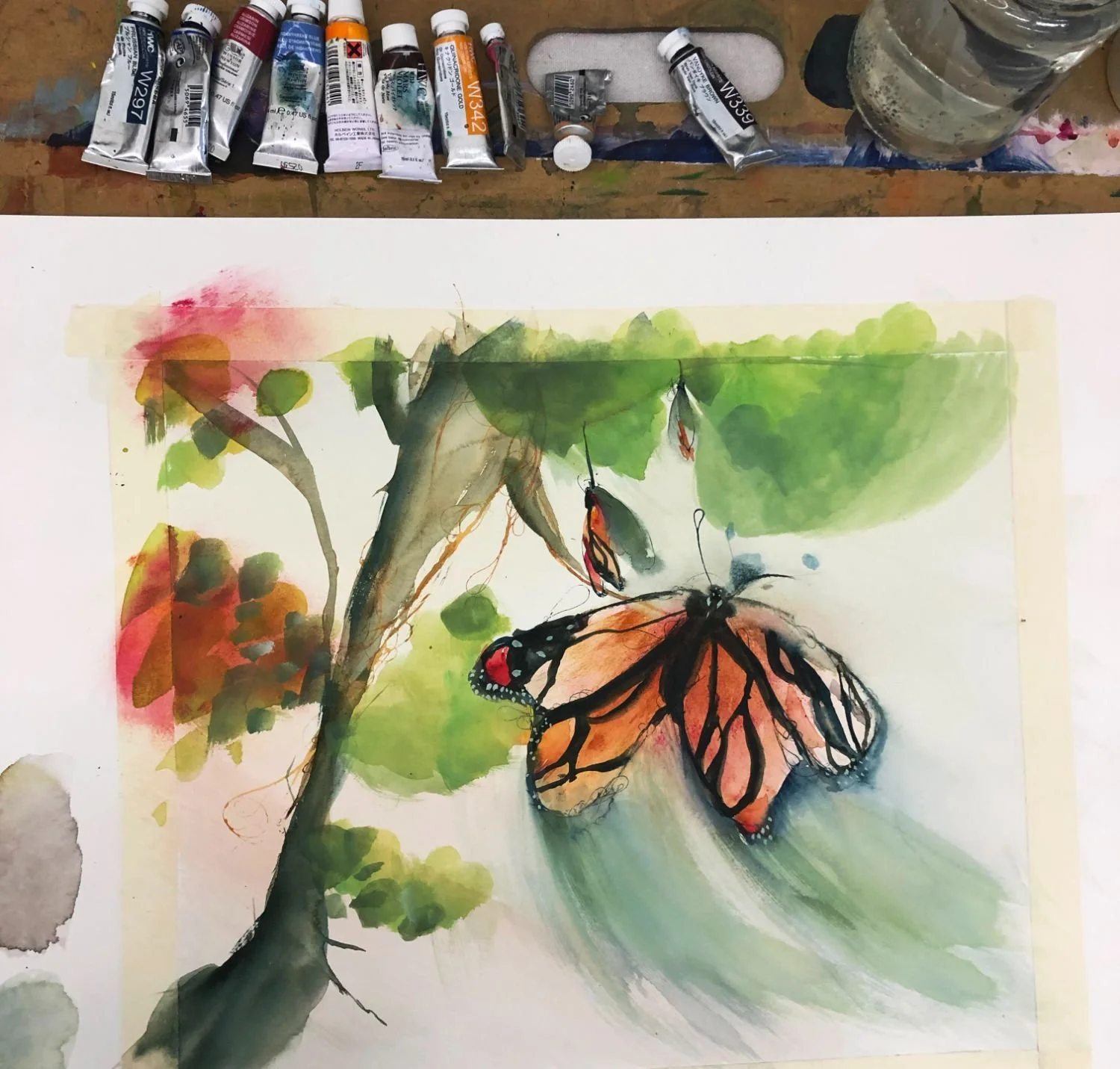 processed_butterfly.jpeg