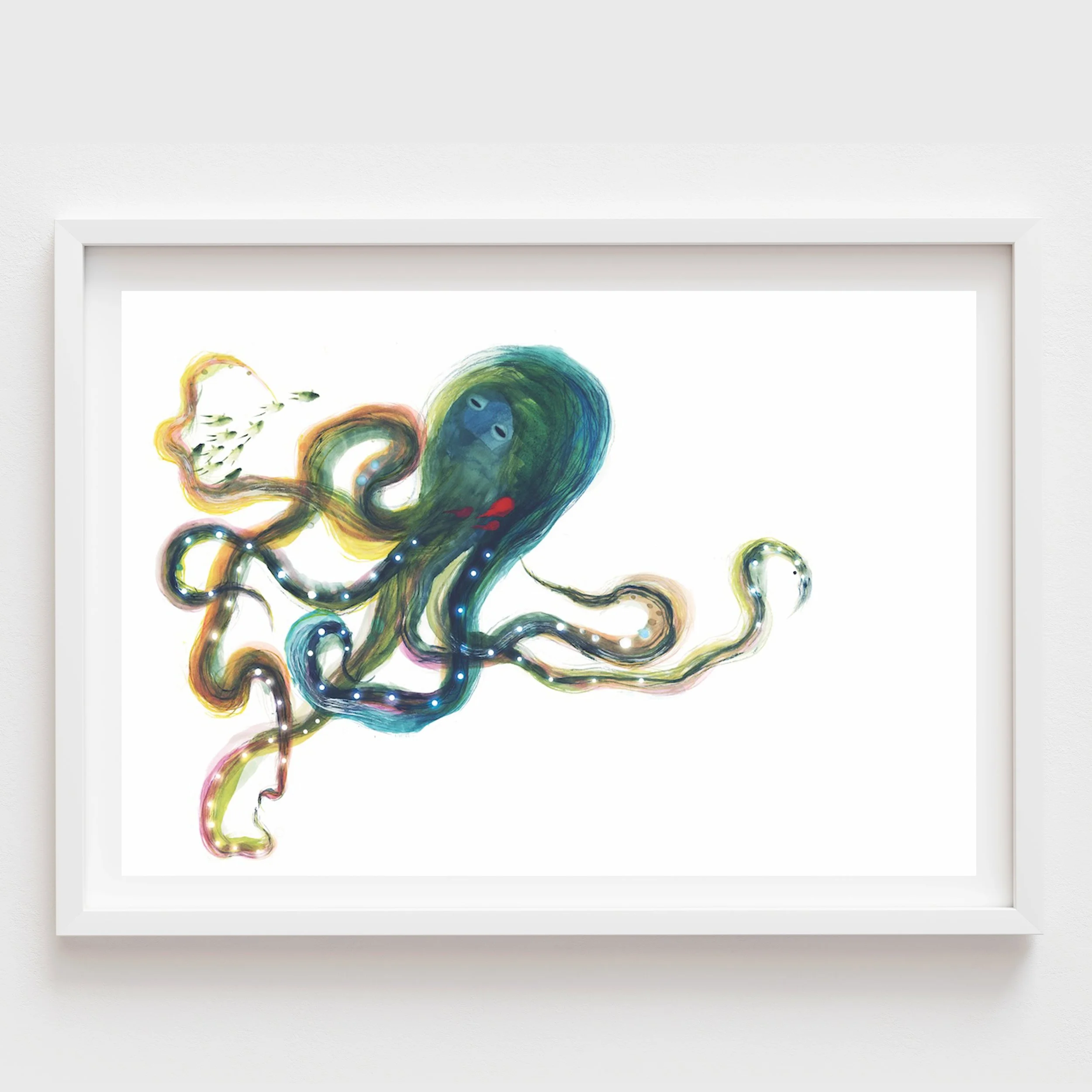 Octopus