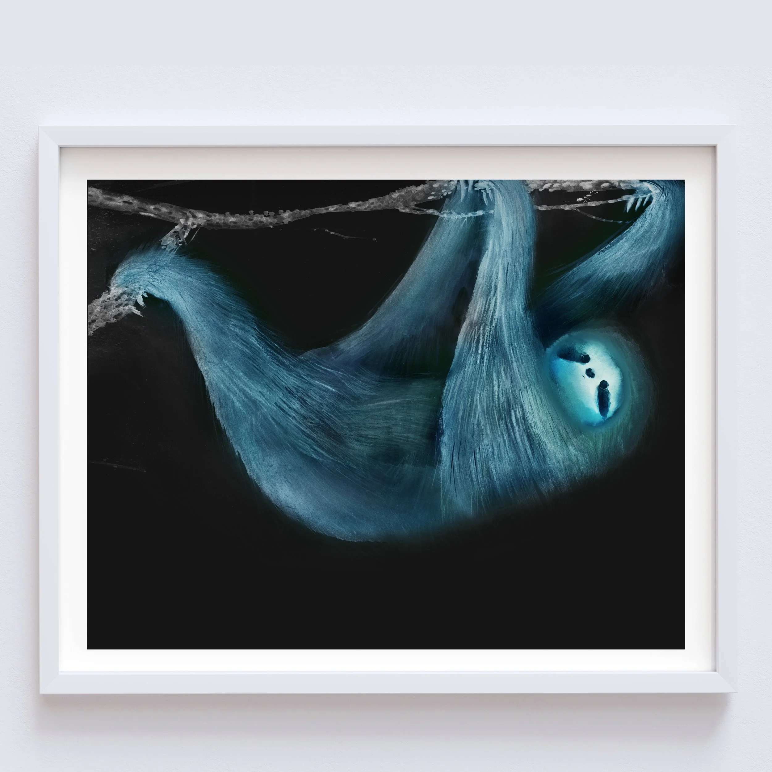 Sloth in the Night