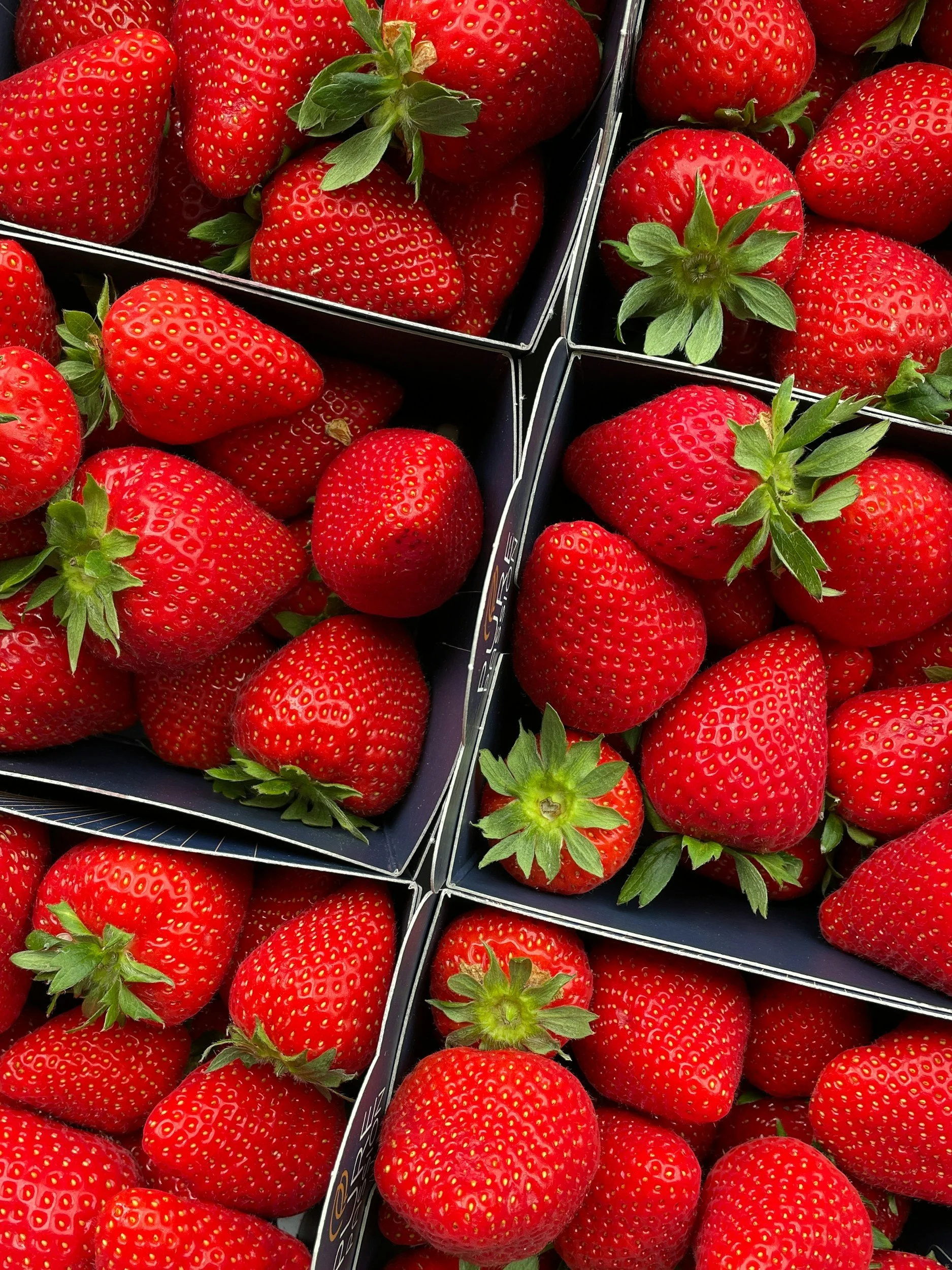 Close-up of fresh, ripe strawberries in a plastic container.