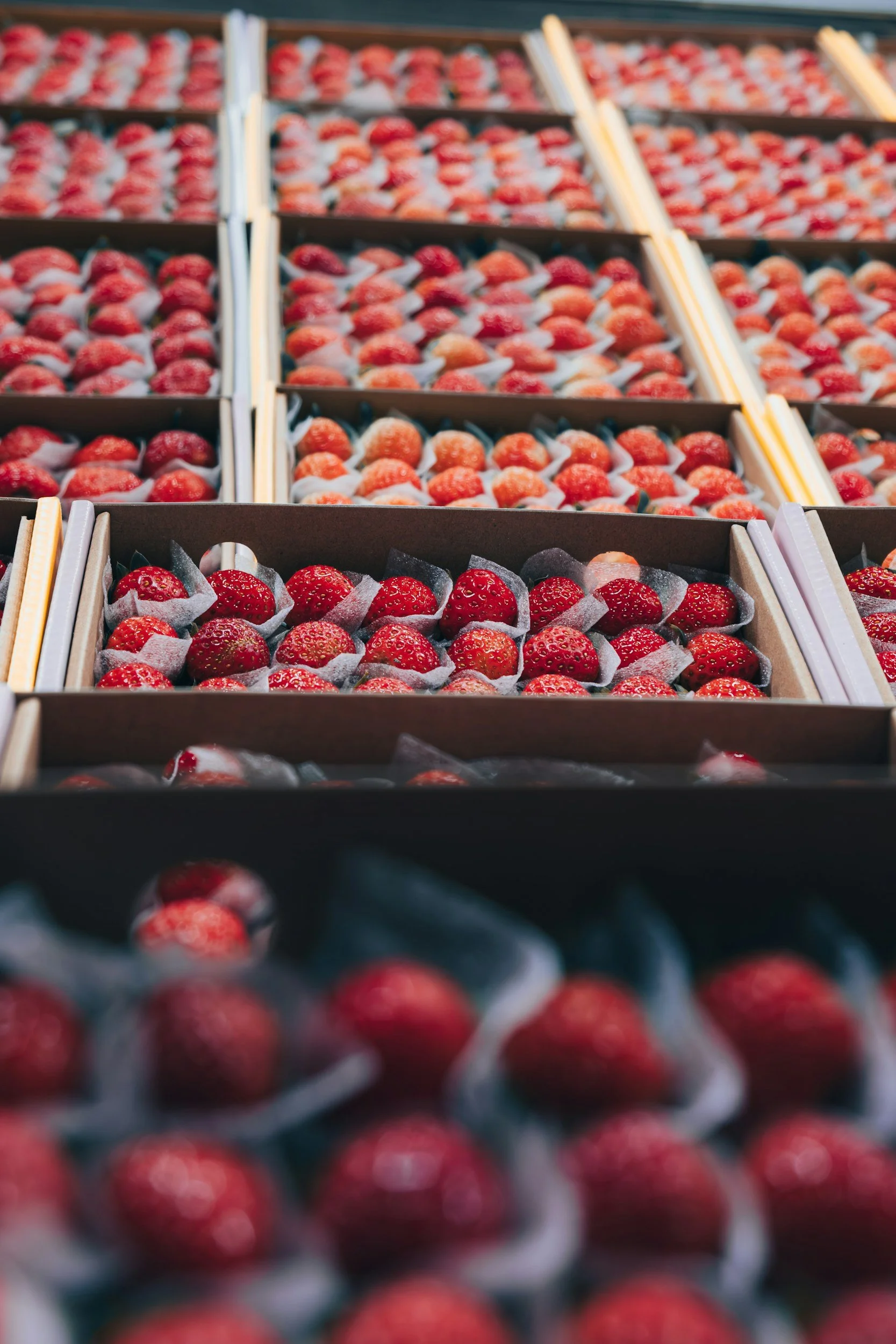 Rows of strawberries in a grocery display case.