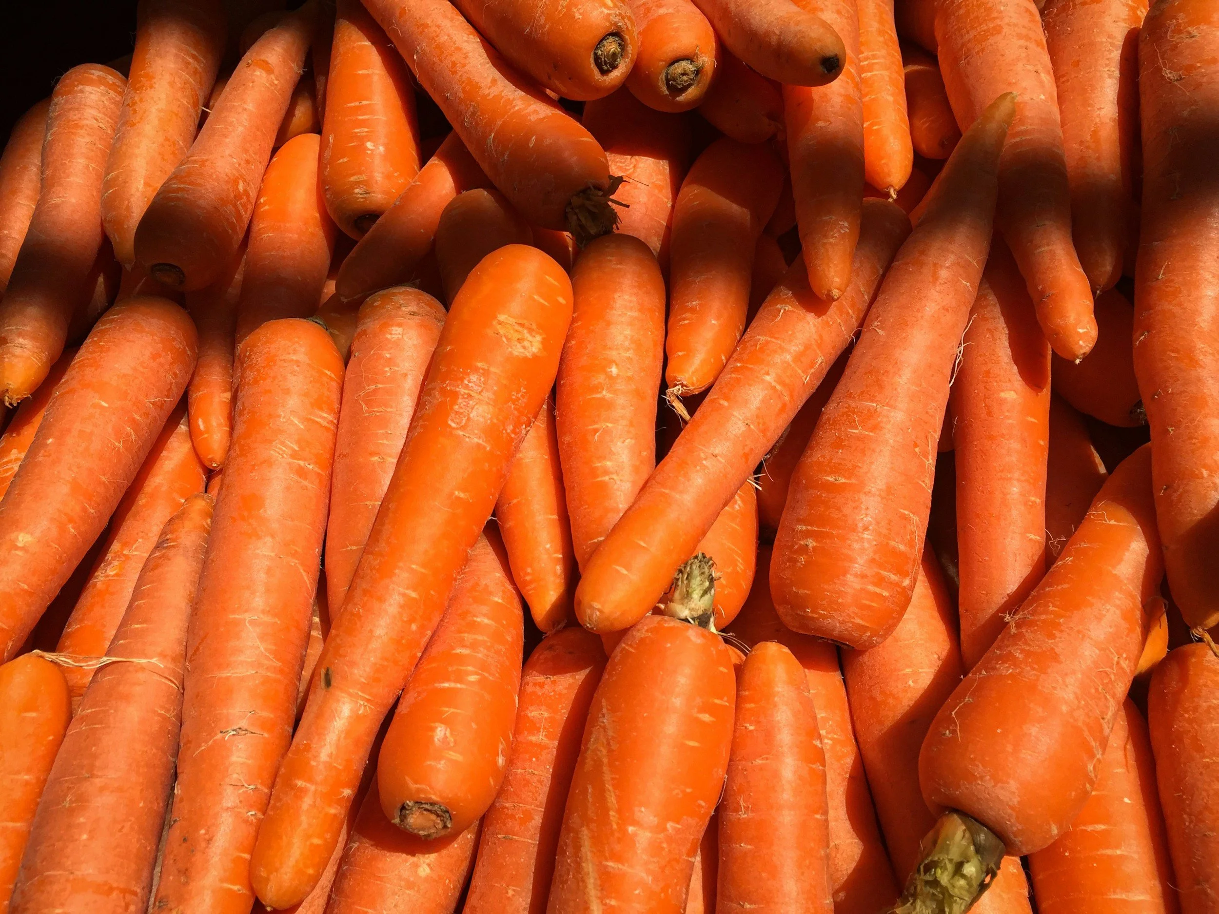 A close-up image of fresh orange carrots piled together.