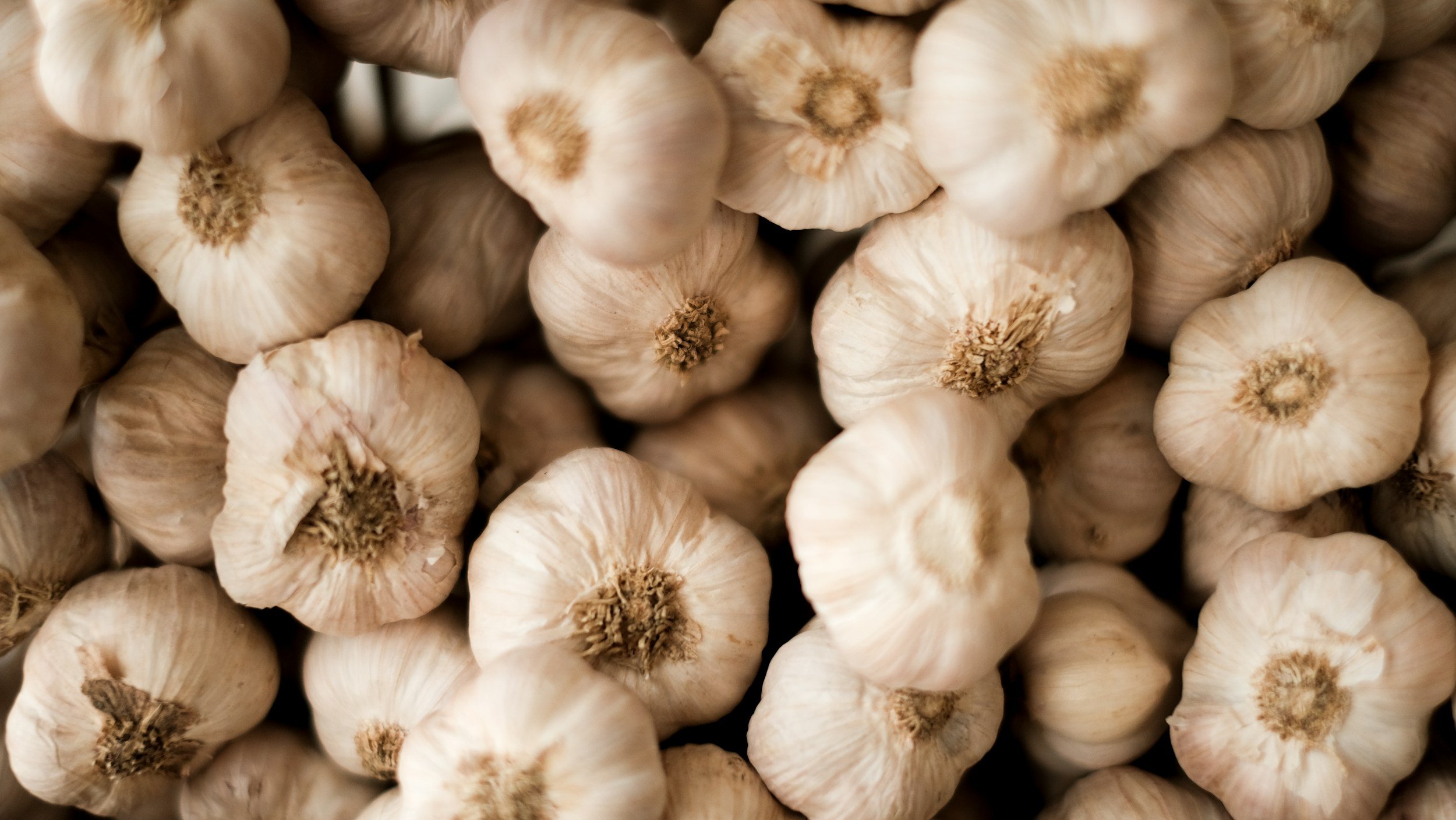 Close-up of a large pile of garlic bulbs with white papery skin.