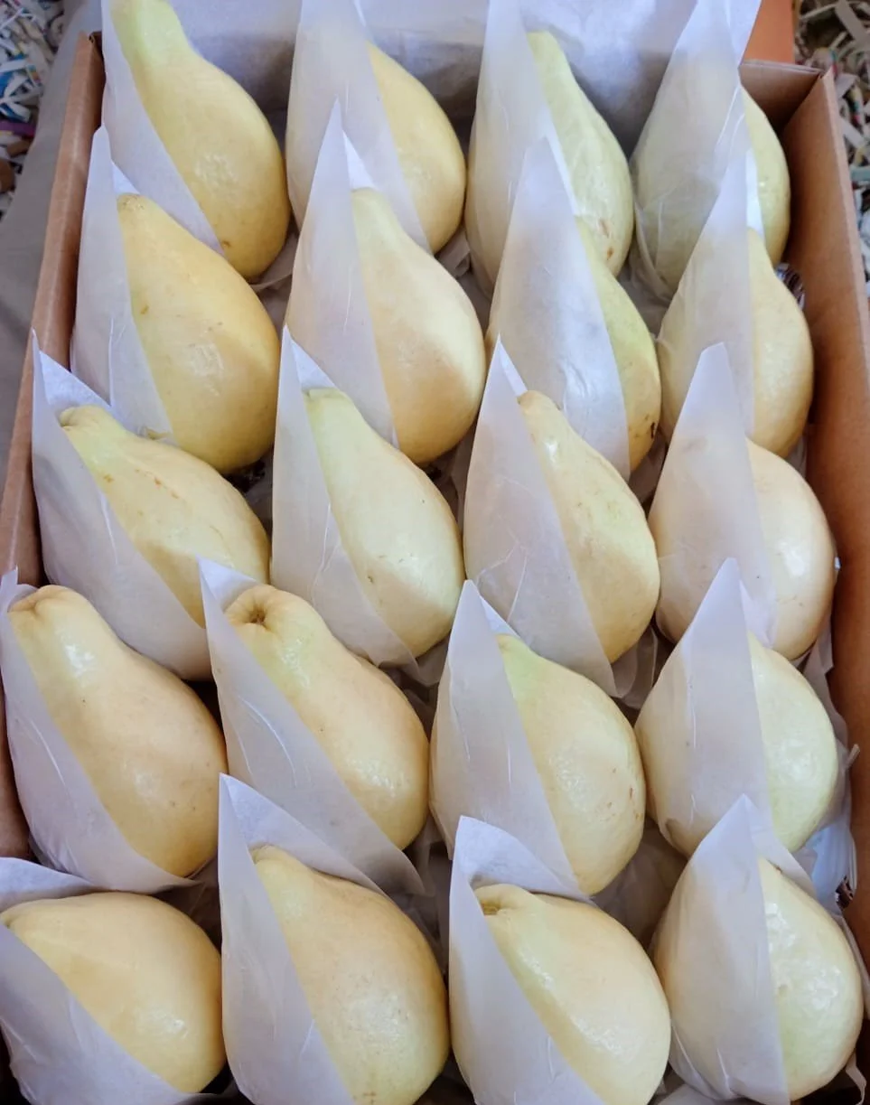 A box of yellow pears wrapped individually in white paper.