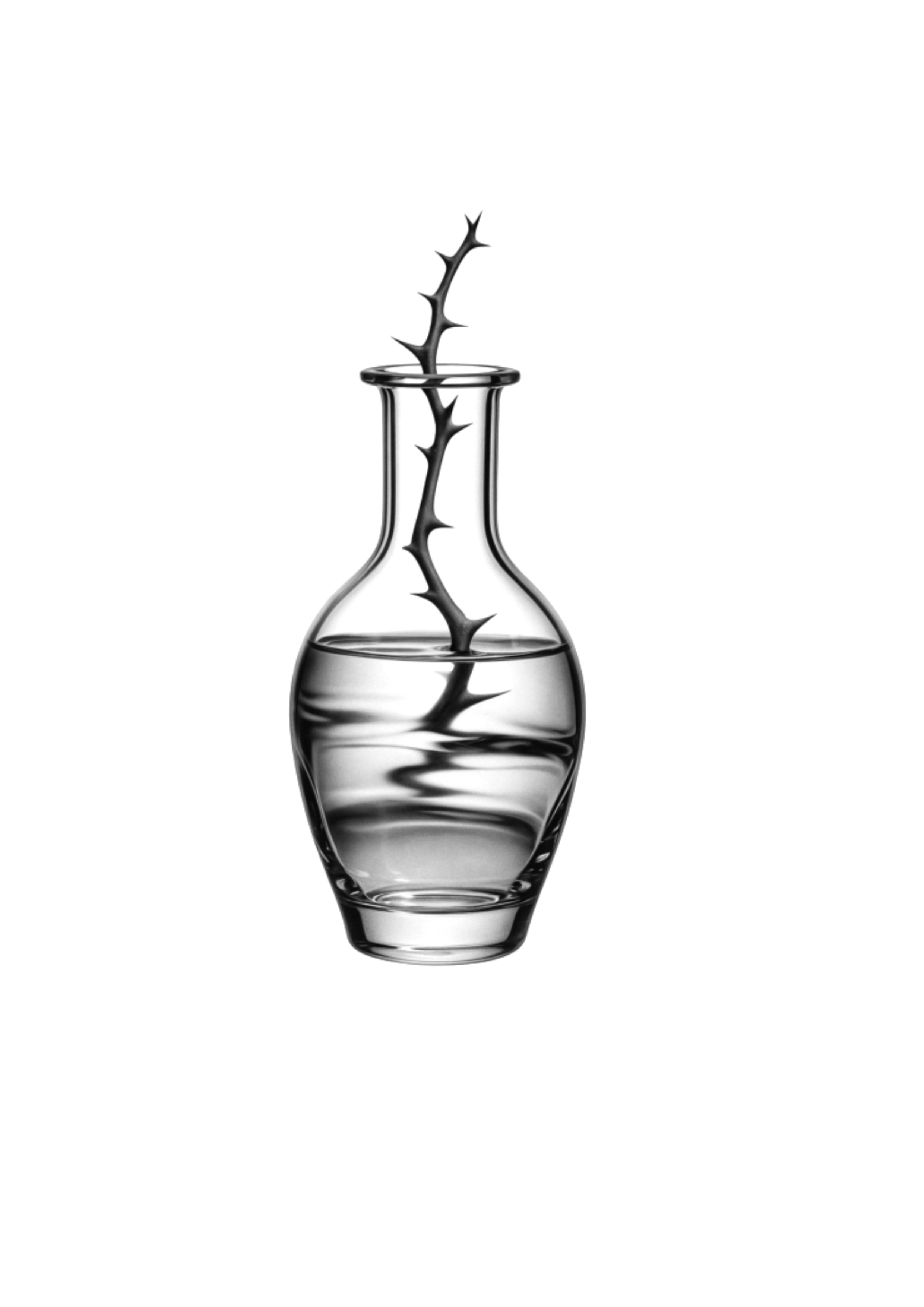 IMG_0306.png
